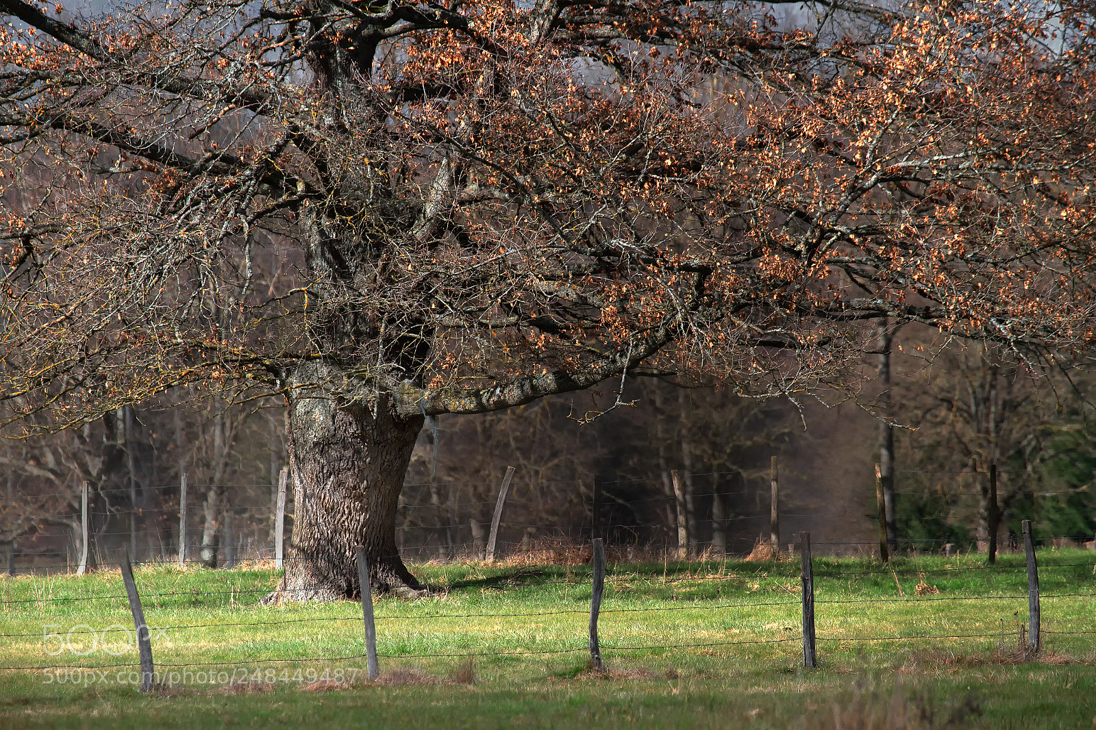 Canon EOS 7D sample photo. Mg photography