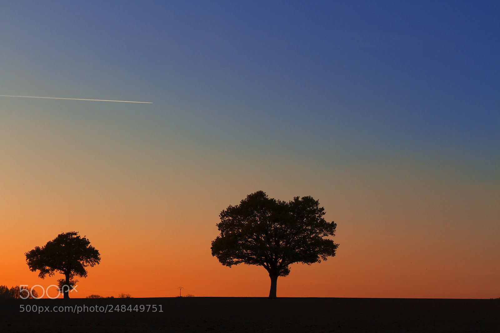 Canon EOS 7D sample photo. Trees photography