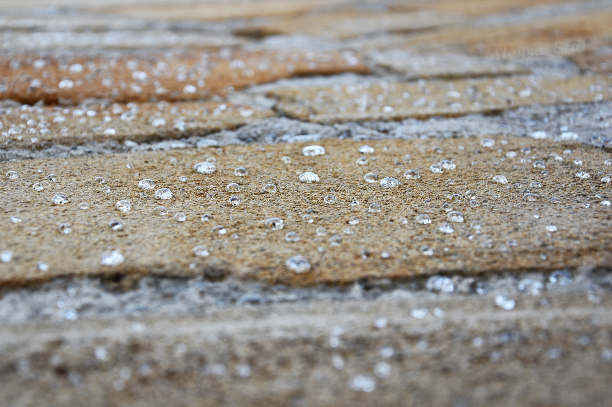Nikon D5600 sample photo. Rain photography