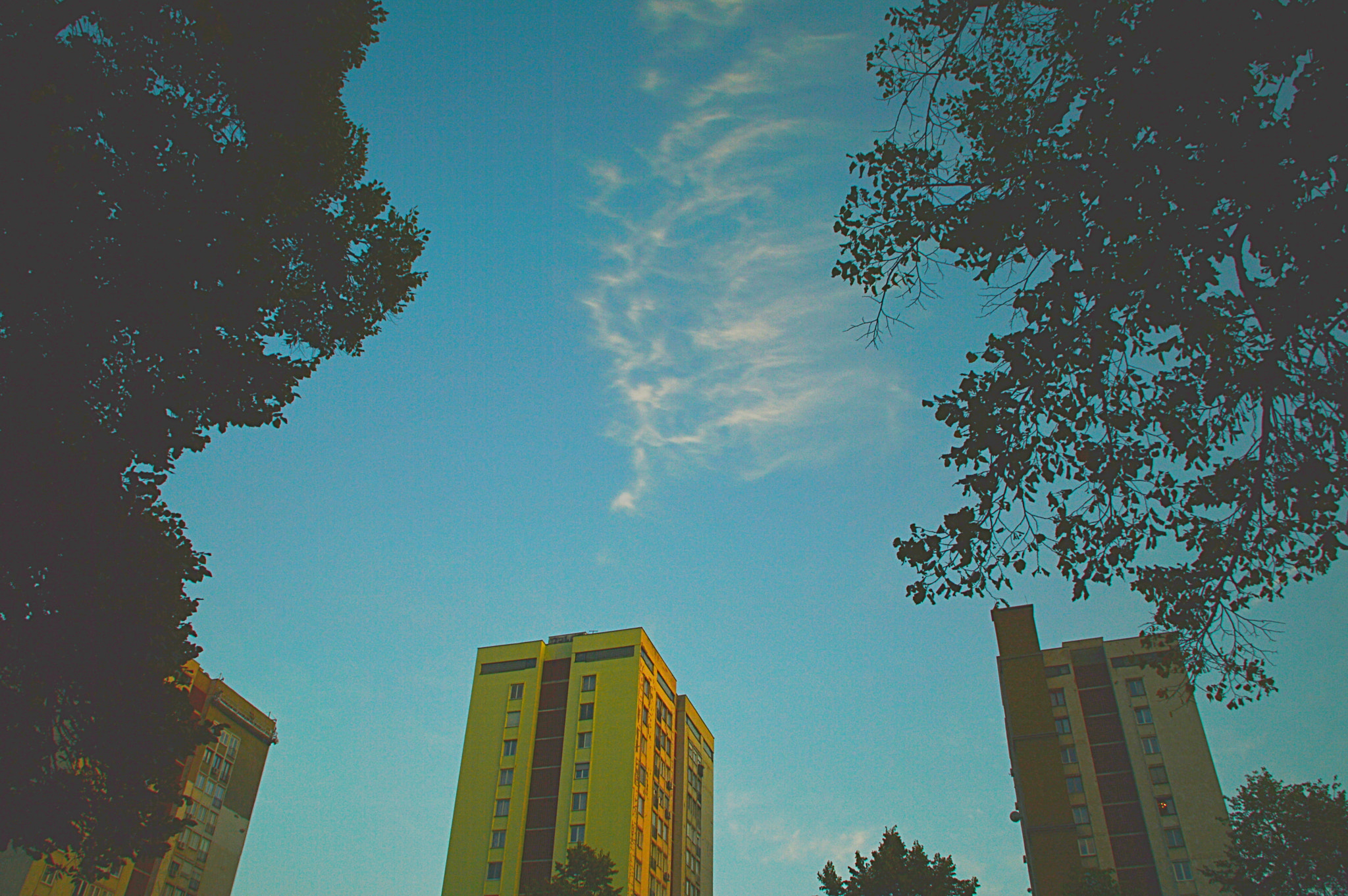 Nikon D3200 sample photo. Blue sky photography