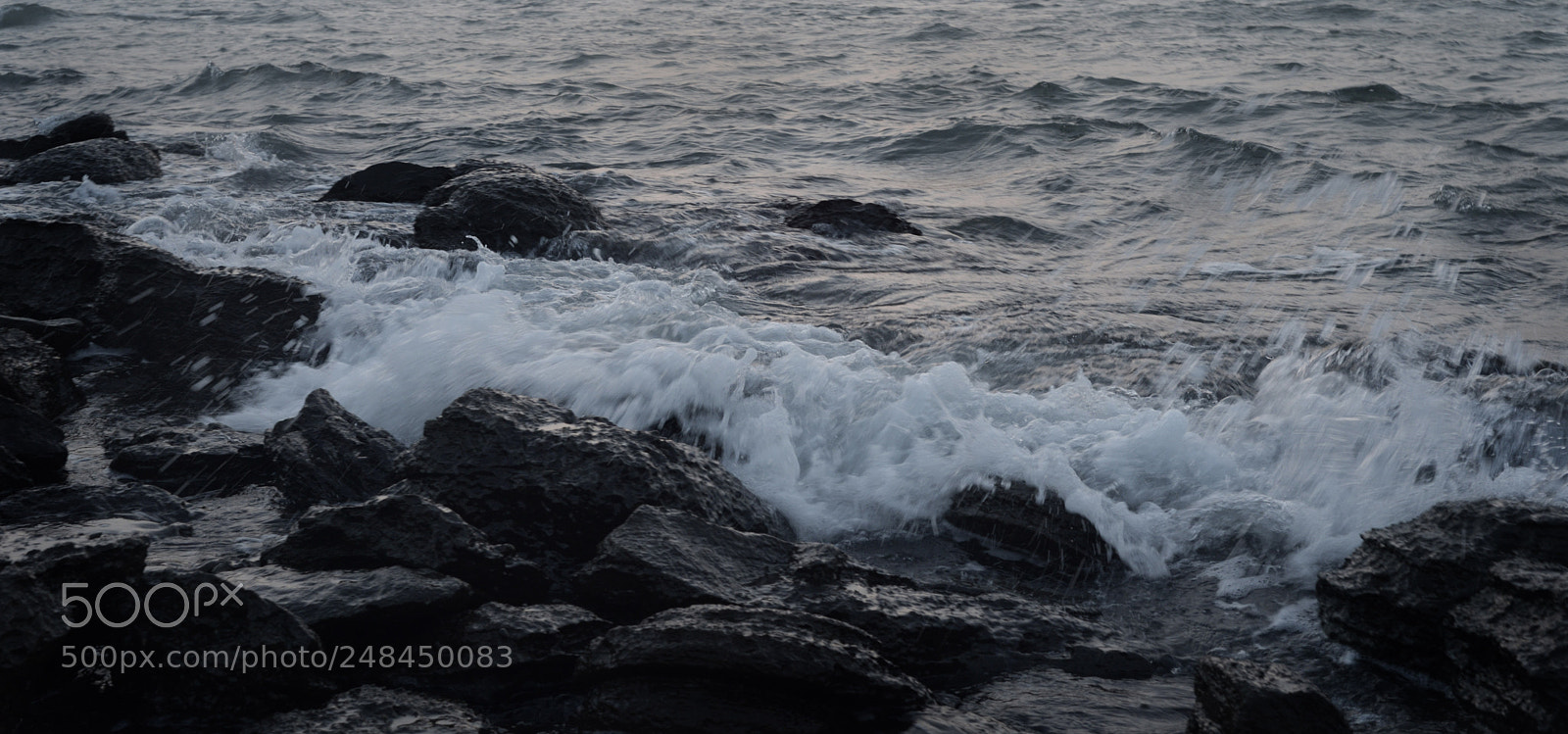 Nikon D610 sample photo. Forever photography