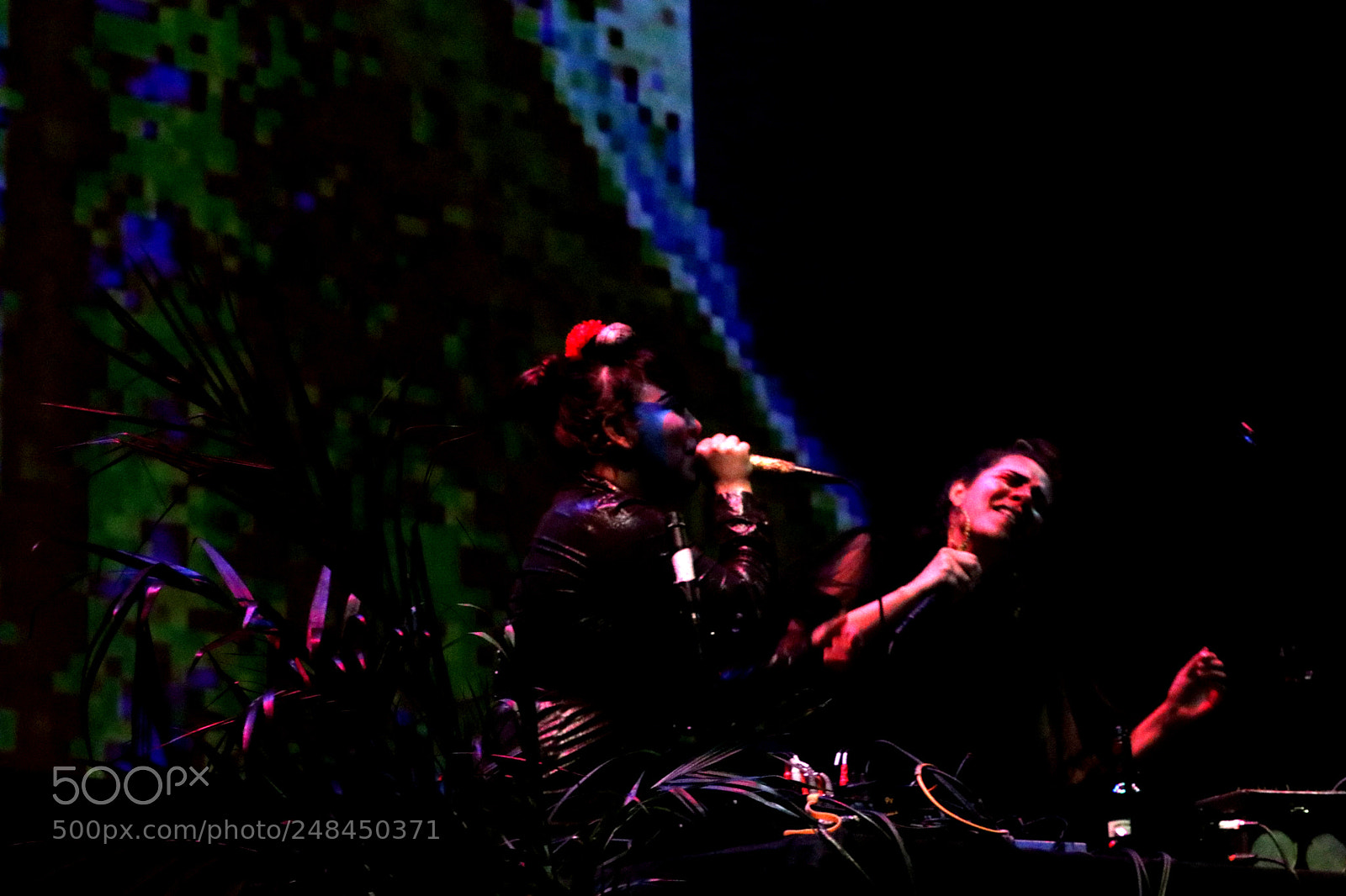 Canon EOS 80D sample photo. Lassucias sfemf photography