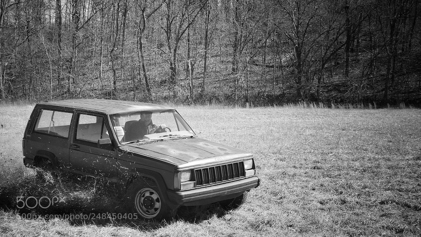 Sony Alpha a3500 sample photo. Untitled photography