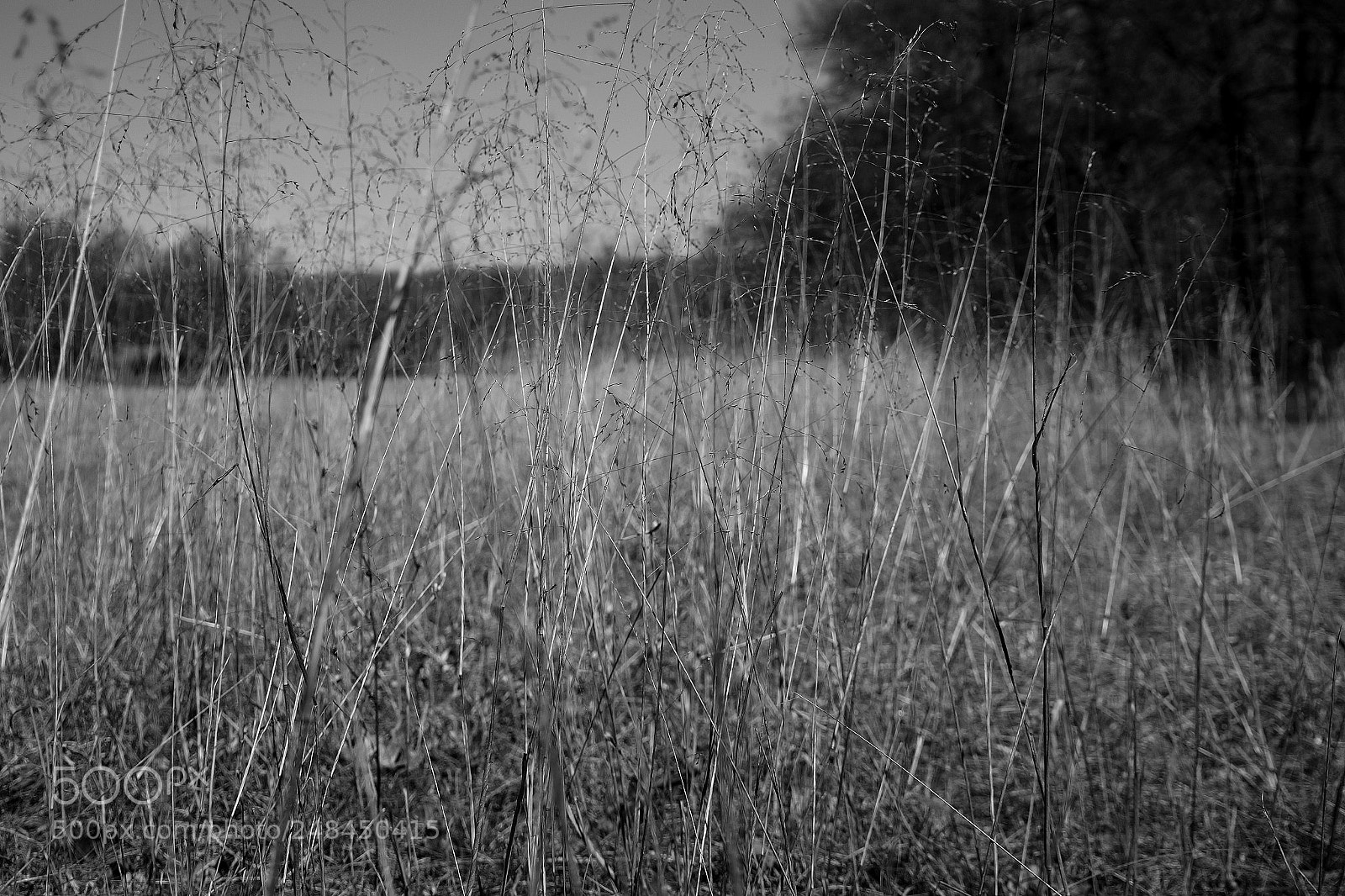 Sony Alpha a3500 sample photo. Untitled photography