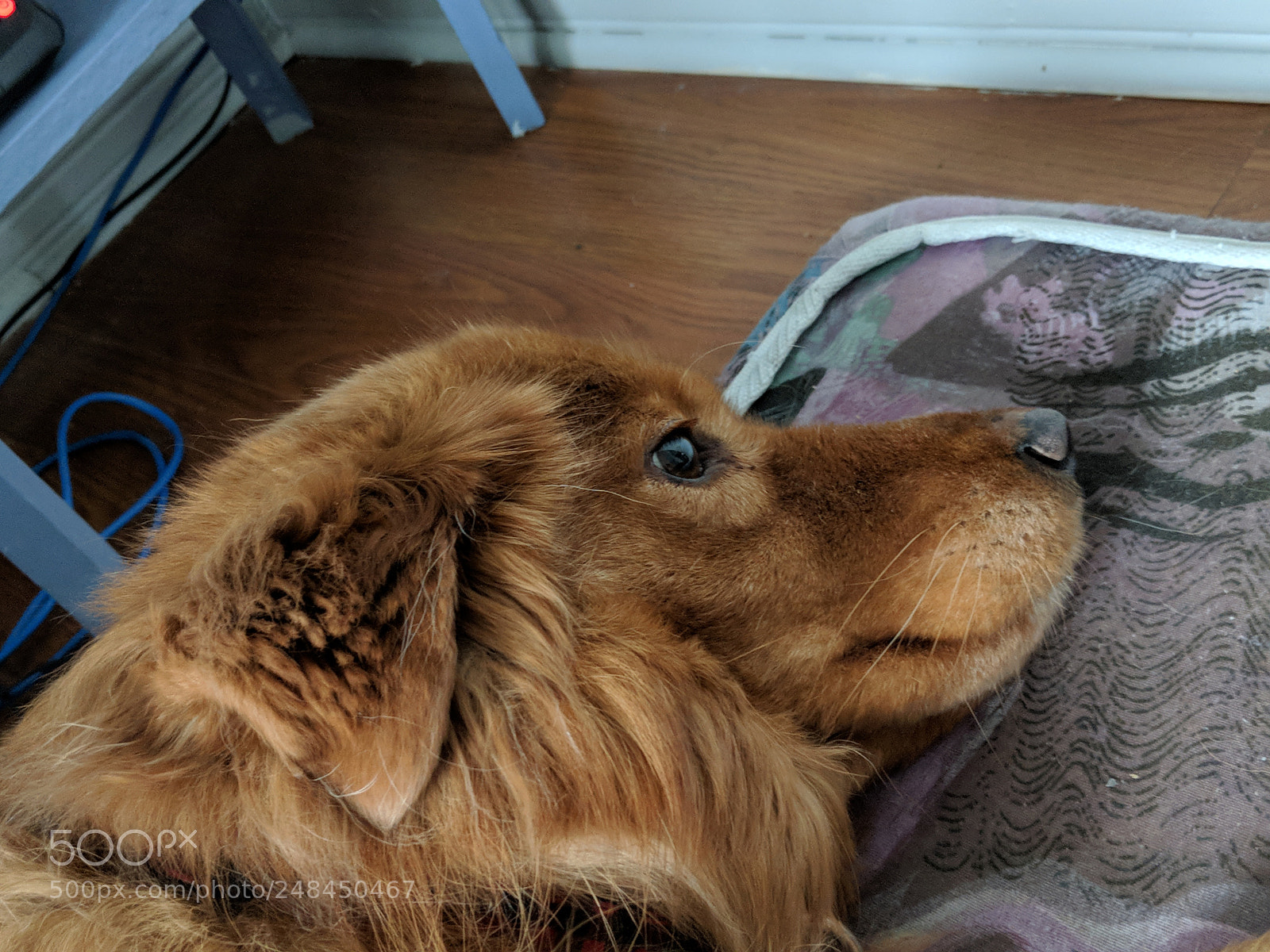 Google Pixel 2 sample photo. Untitled photography