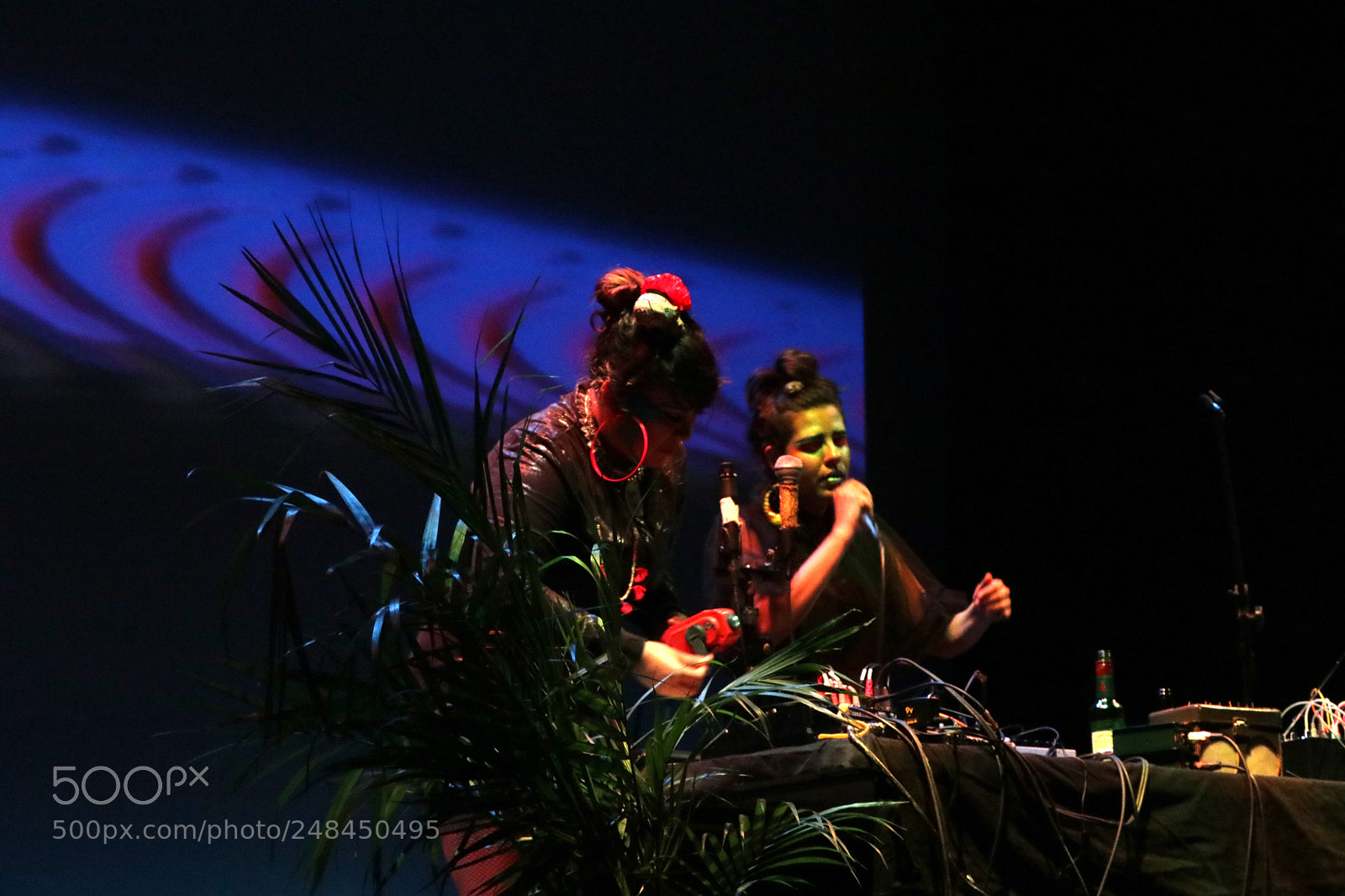 Canon EOS 80D sample photo. Lassucias sfemf photography
