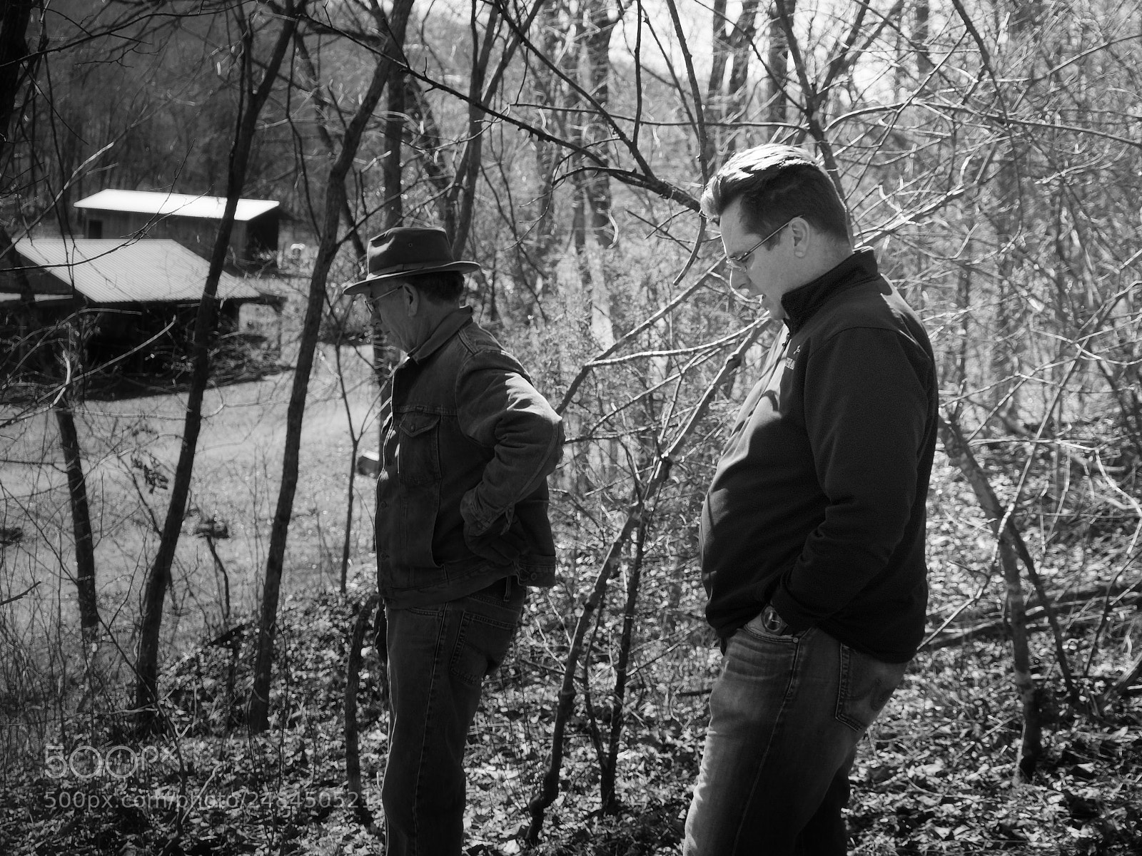 Sony Alpha a3500 sample photo. Untitled photography