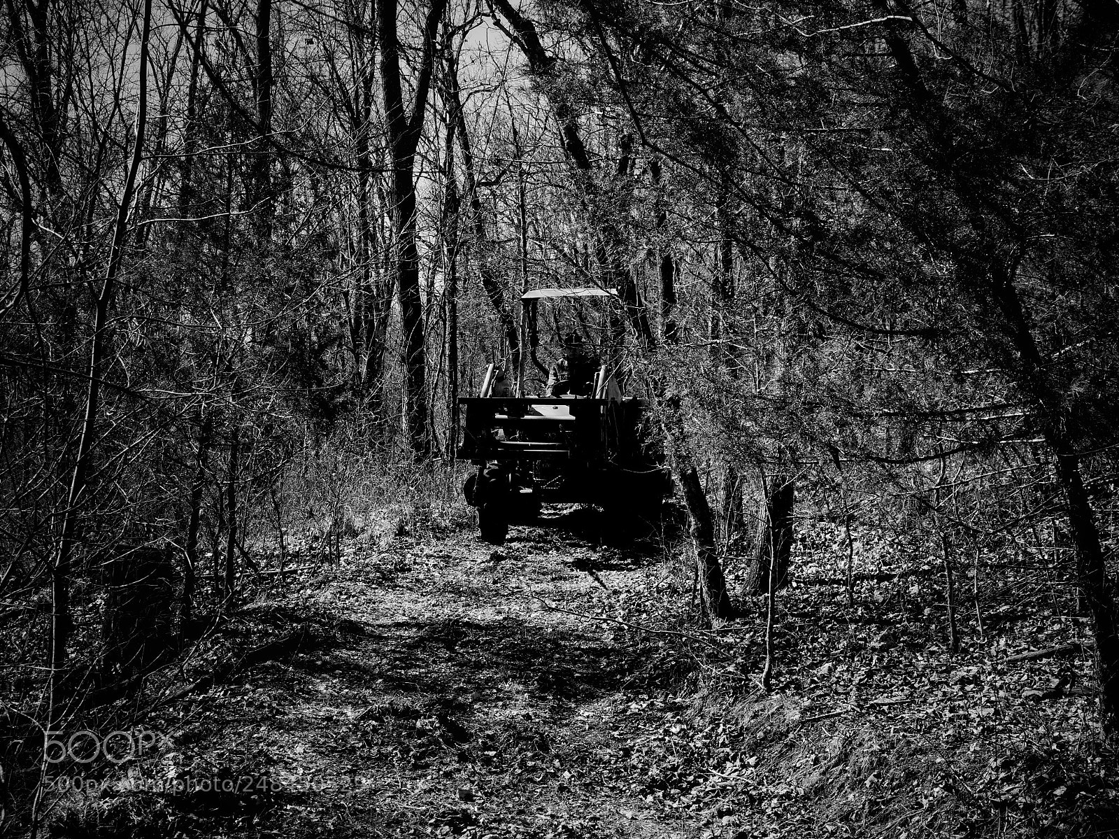 Sony Alpha a3500 sample photo. Untitled photography