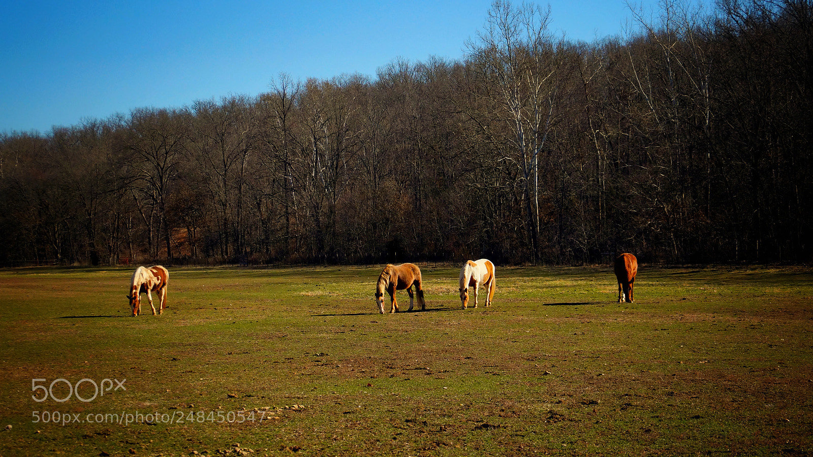 Sony Alpha a3500 sample photo. Untitled photography