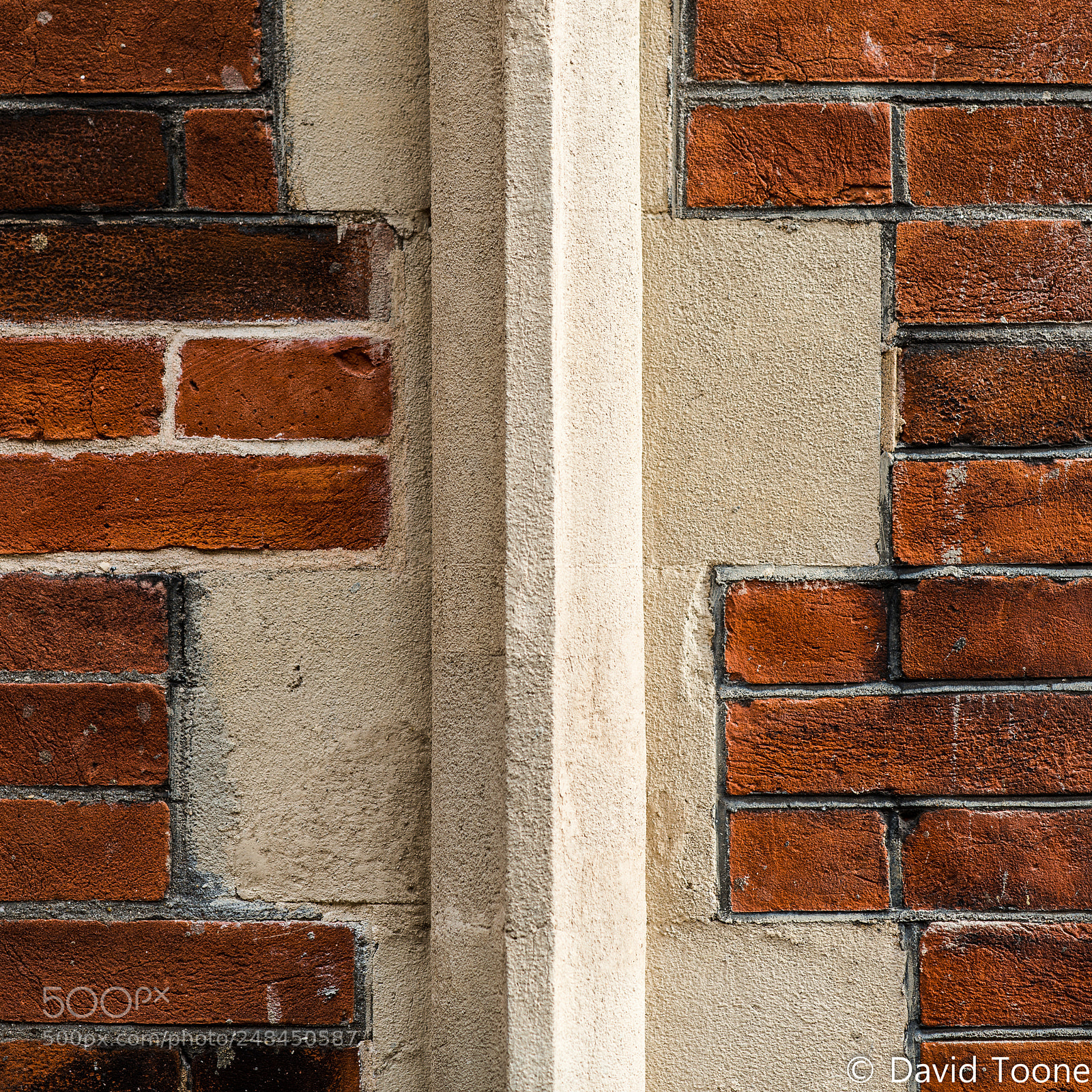 Nikon D800 sample photo. Offset photography