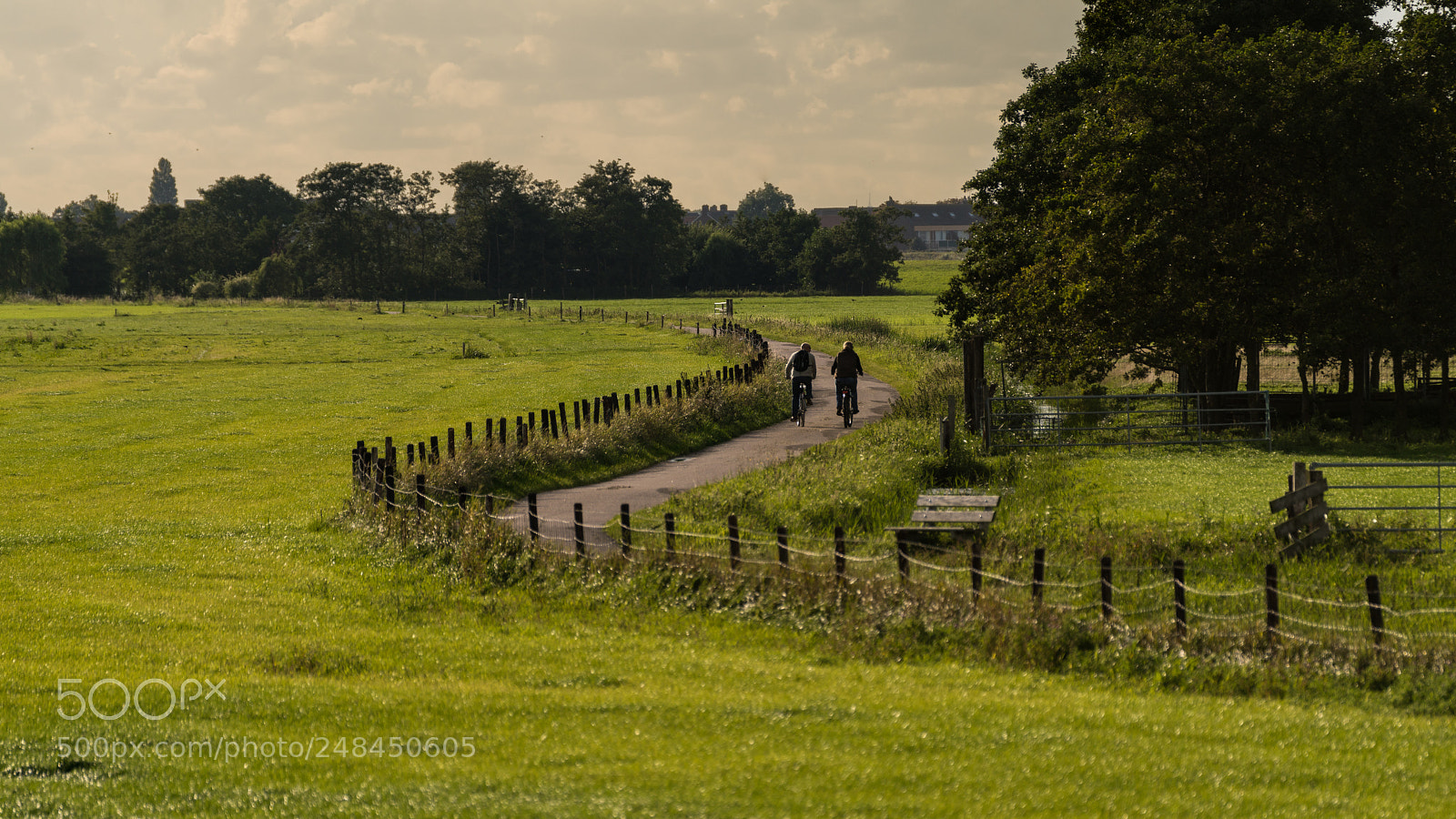Sony a7R II sample photo. Pair of cyclists in photography