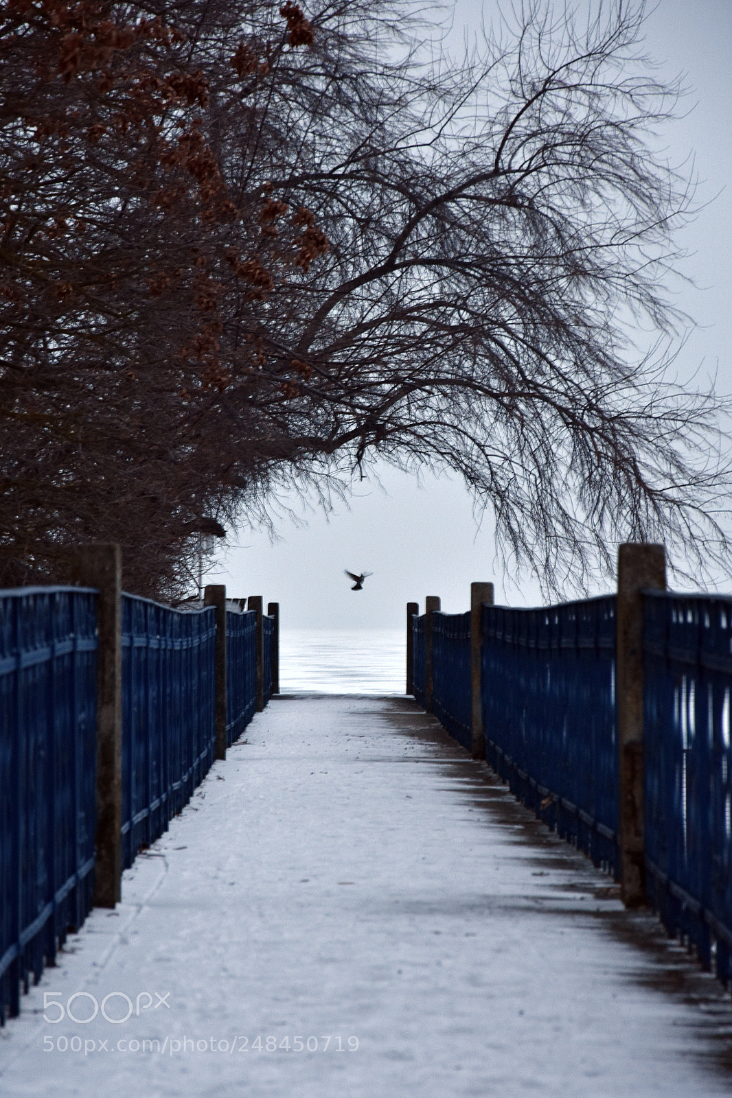 Nikon D3400 sample photo. Untitled photography