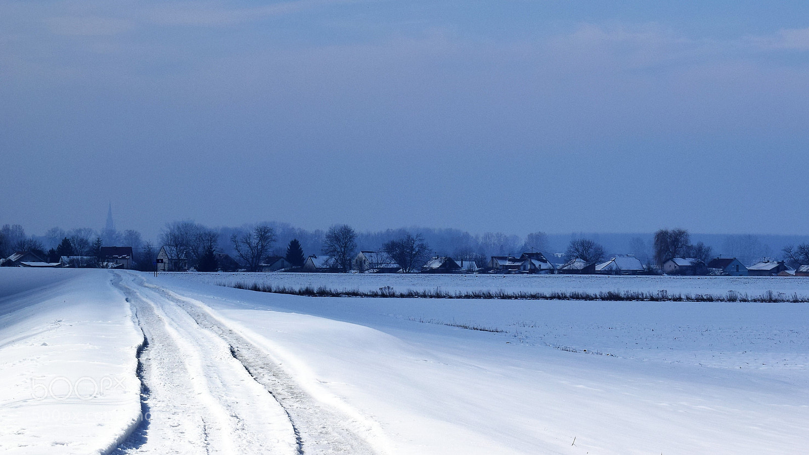 Nikon D5300 sample photo. Untitled photography