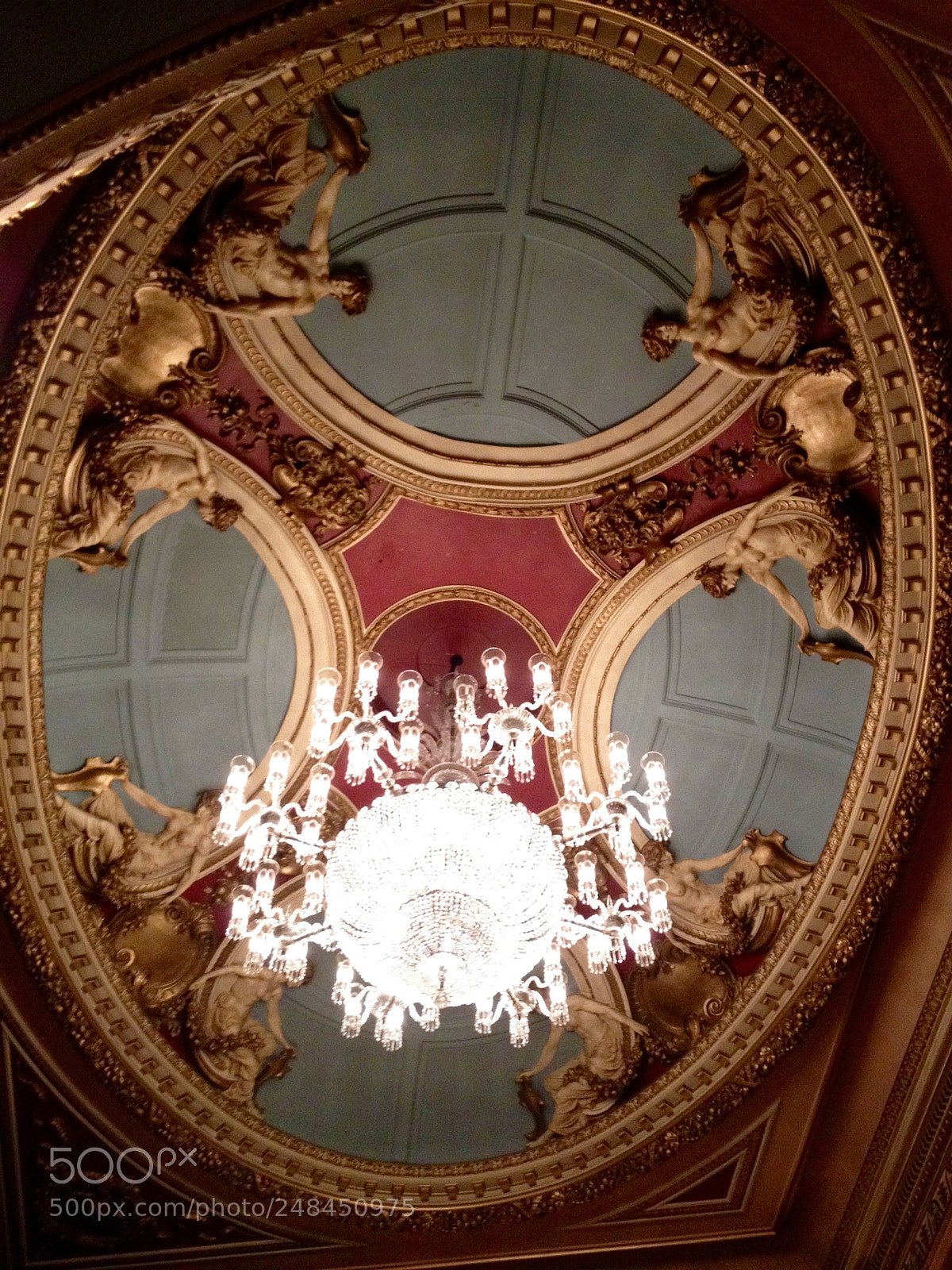 Apple iPhone 4S sample photo. Adoration looking up. photography