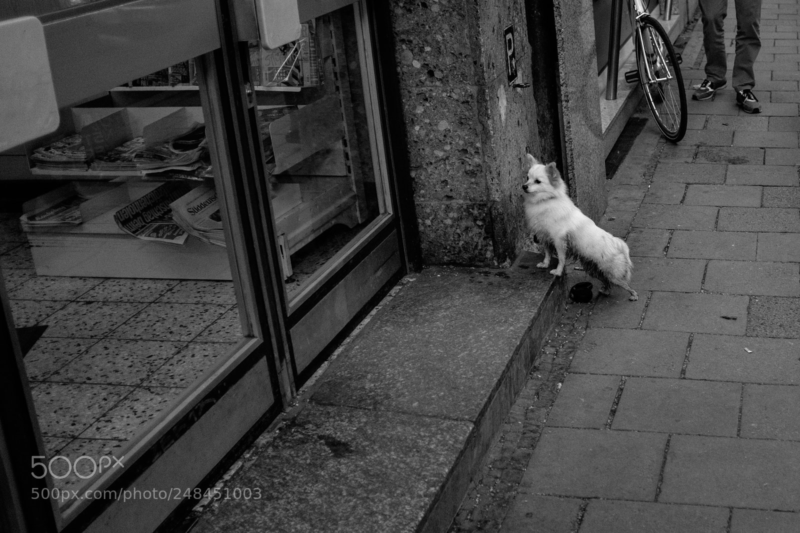 Fujifilm X100T sample photo. Let me in photography