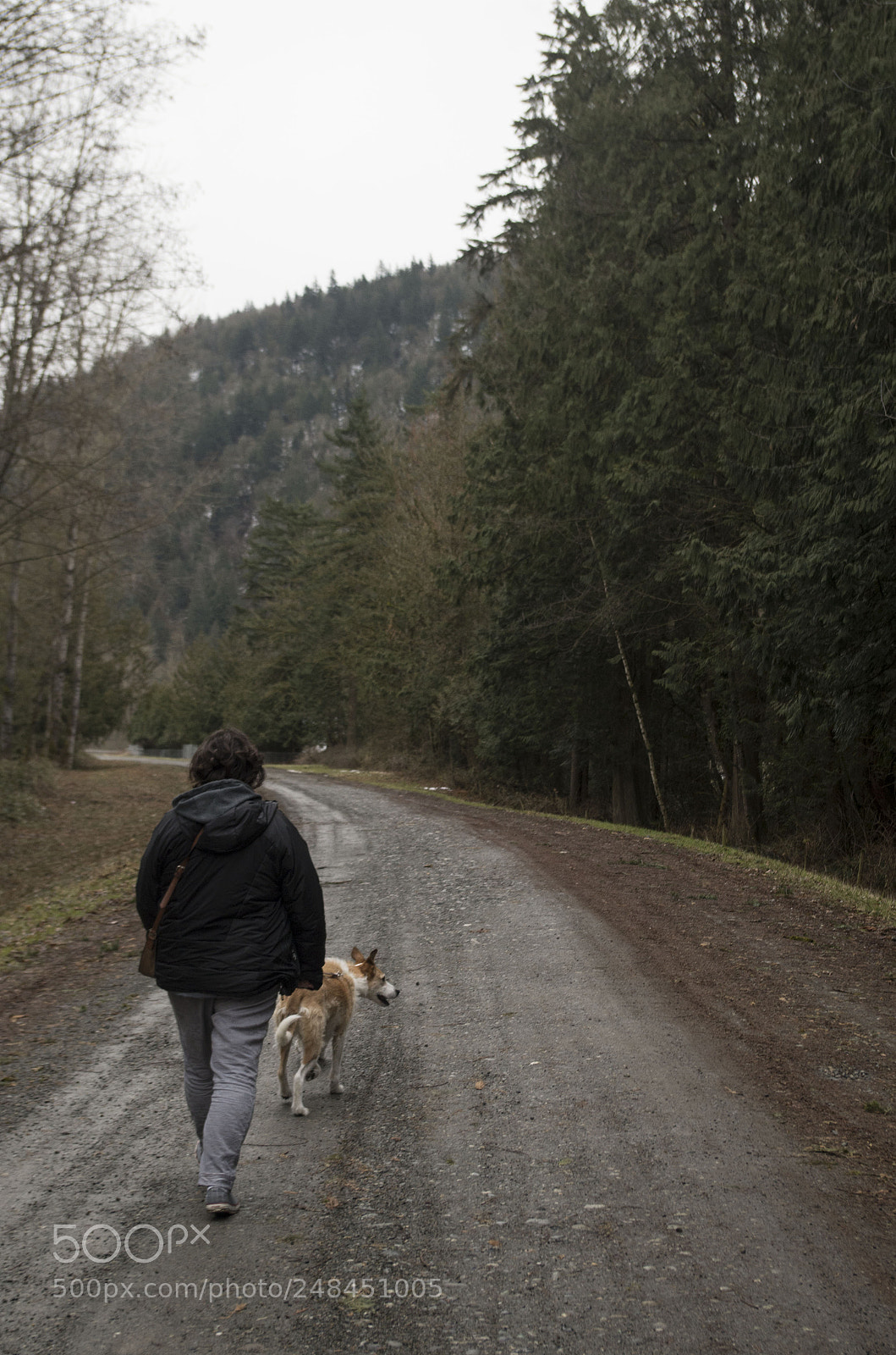 Pentax K-50 sample photo. Chilliwack - riverside walks photography