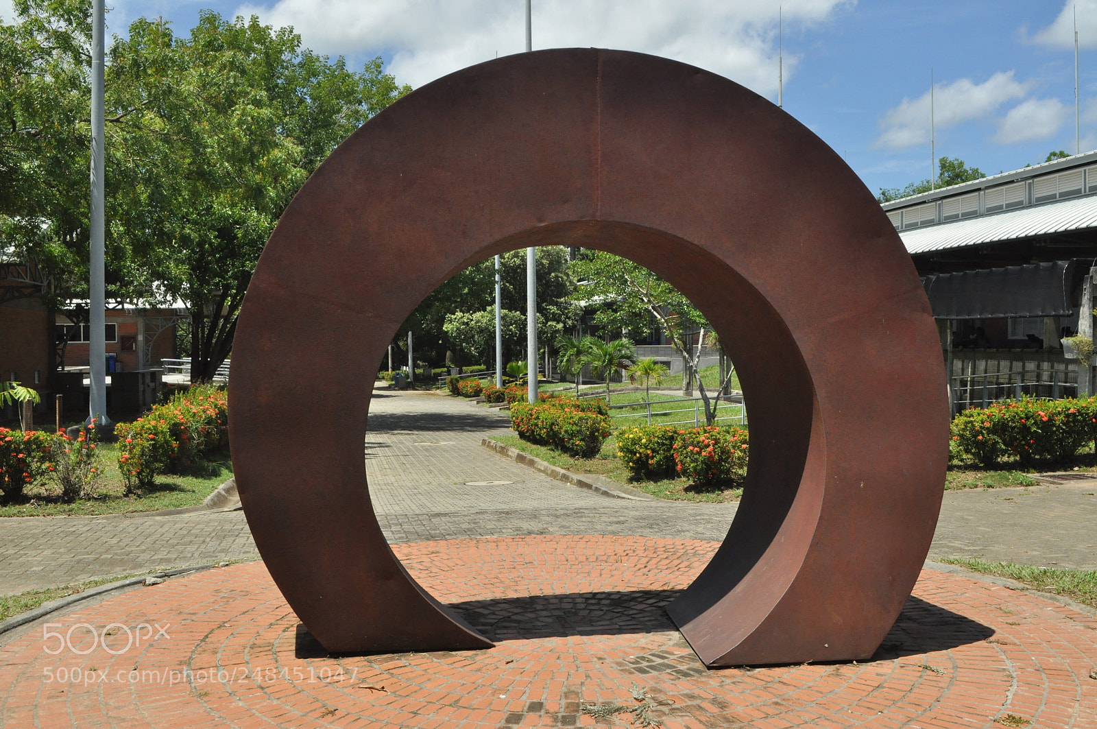 Nikon D5000 sample photo. Nariguera andina... photography