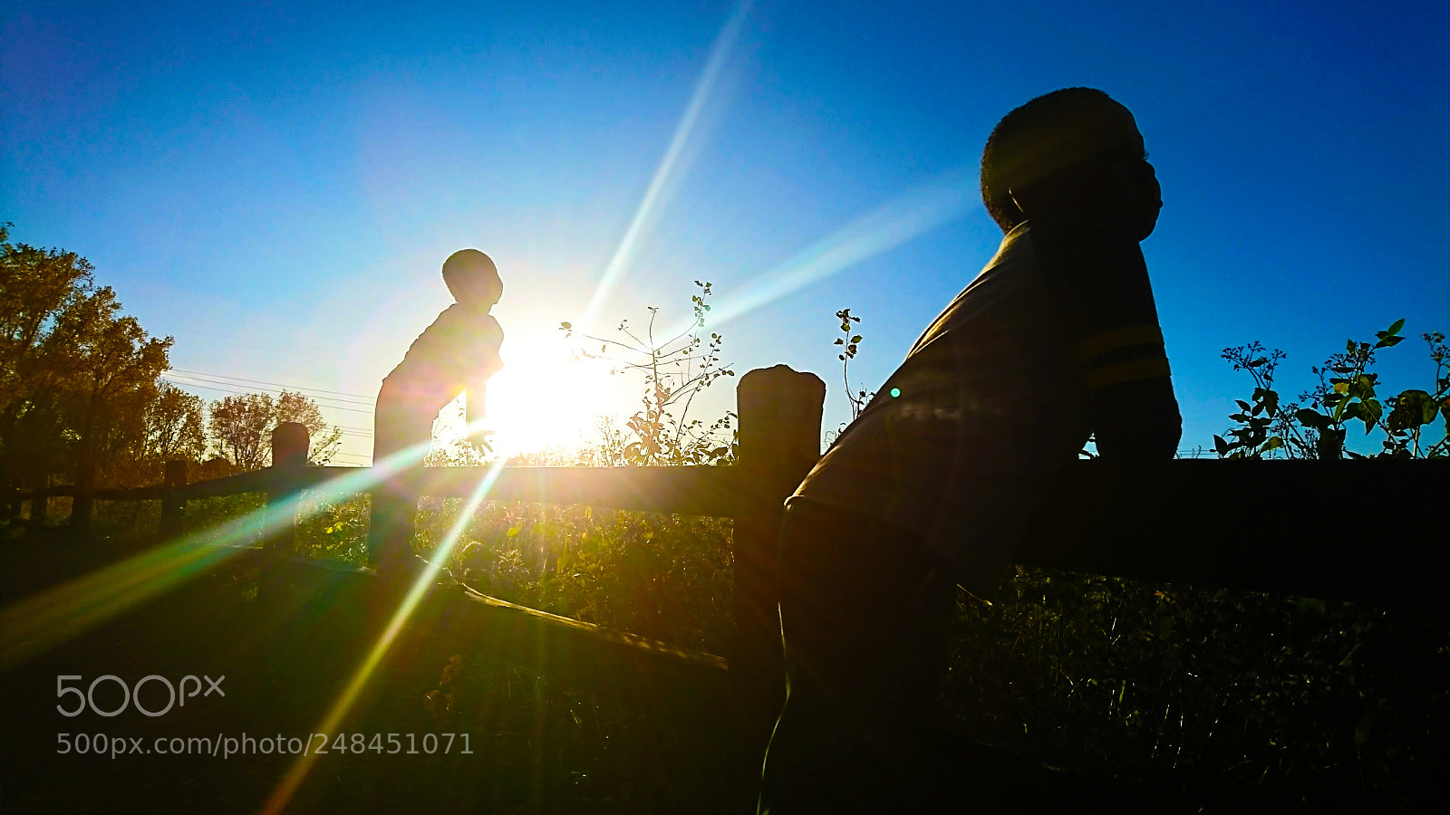 Sony Xperia XZ sample photo. Bathing in sun photography