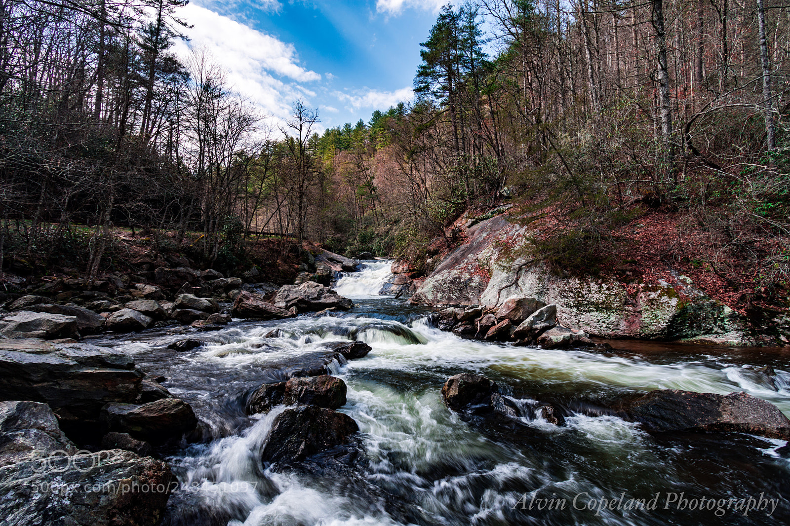 Nikon D7200 sample photo. Nature’s view photography