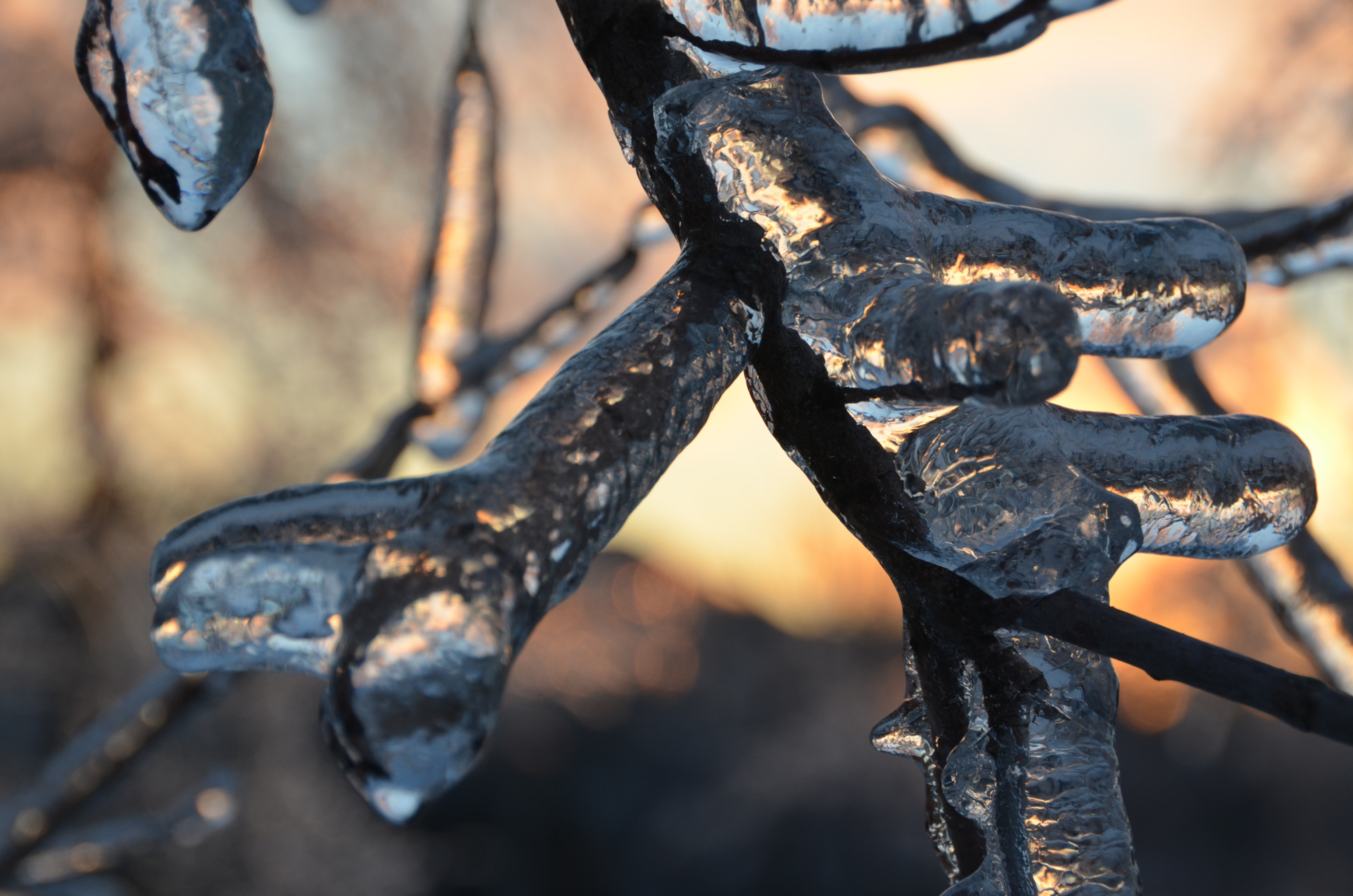 Sigma 18-250mm F3.5-6.3 DC OS HSM sample photo. Everything frozen photography