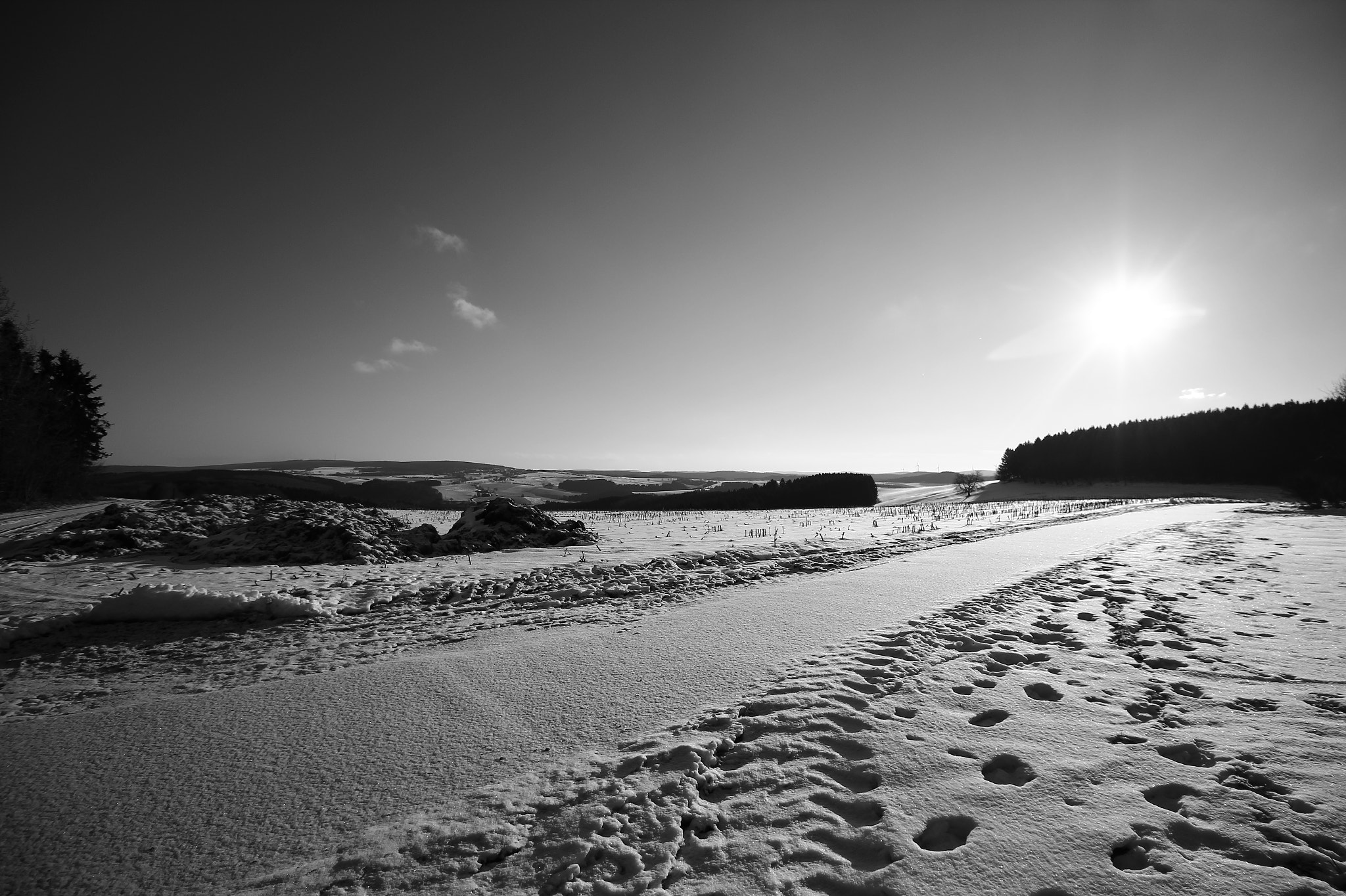 Canon EOS 600D (Rebel EOS T3i / EOS Kiss X5) sample photo. -12°c in black and white photography