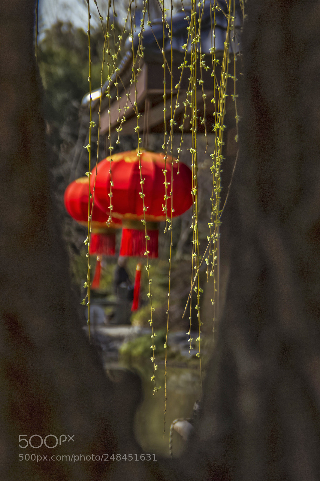 Canon EOS 600D (Rebel EOS T3i / EOS Kiss X5) sample photo. 春来了 photography