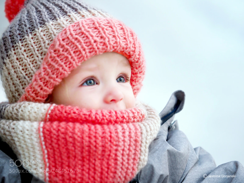 Olympus OM-D E-M1 Mark II sample photo. Winter sweet style photography