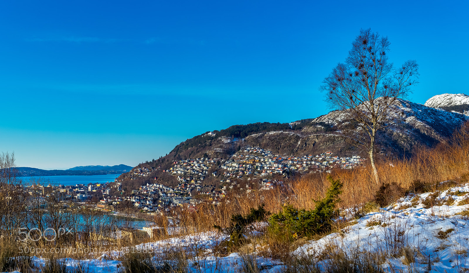 Canon EOS 6D Mark II sample photo. Winter in bergen photography