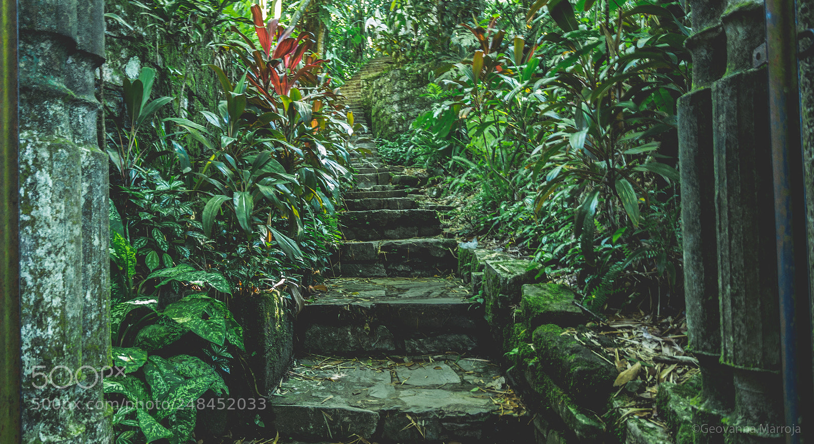 Canon EOS 7D sample photo. Escaleras photography
