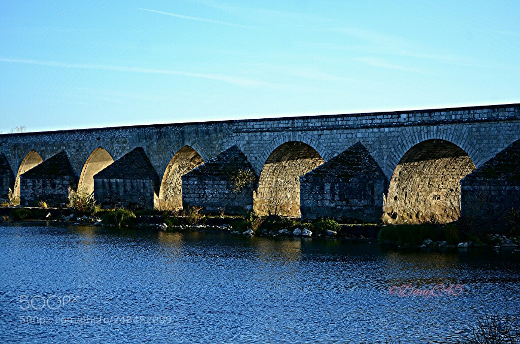 Nikon D5100 sample photo. Bridge photography