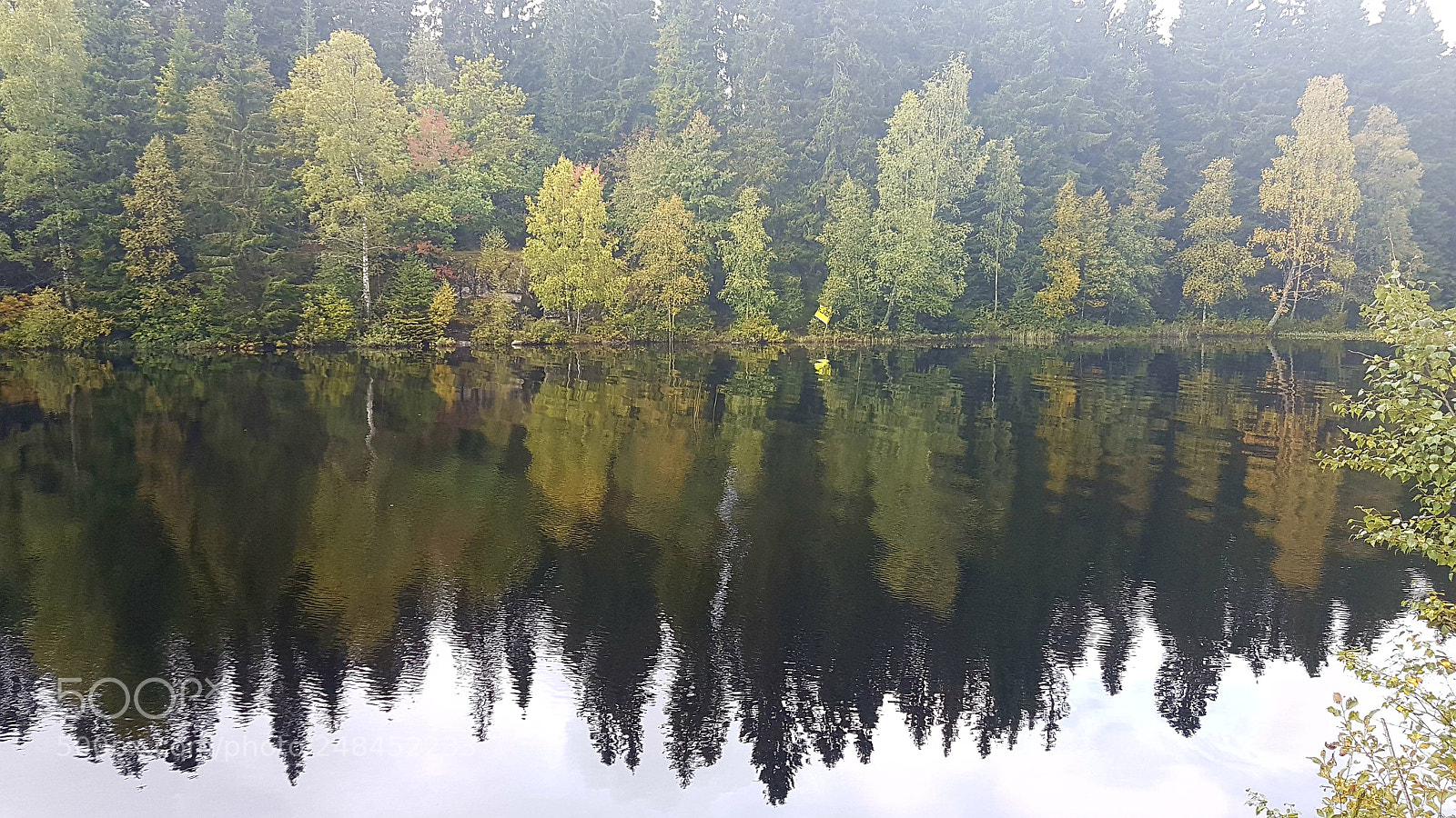 Samsung Galaxy S7 sample photo. Untitled photography