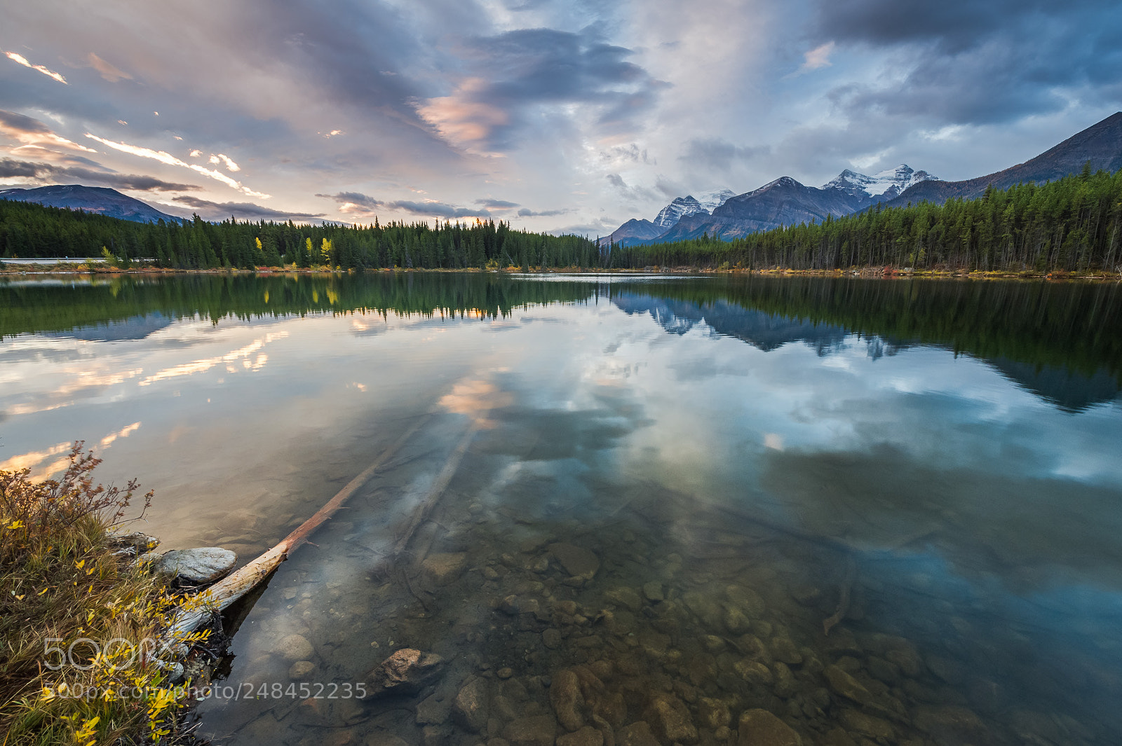 Nikon D3S sample photo. Alberta. canada. september 2017 photography