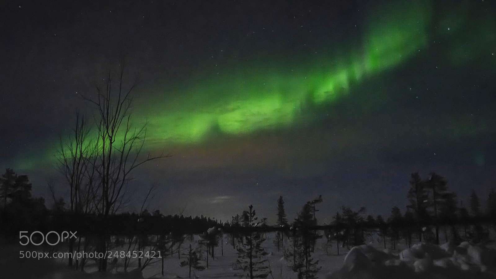 Nikon D3200 sample photo. Northern light photography