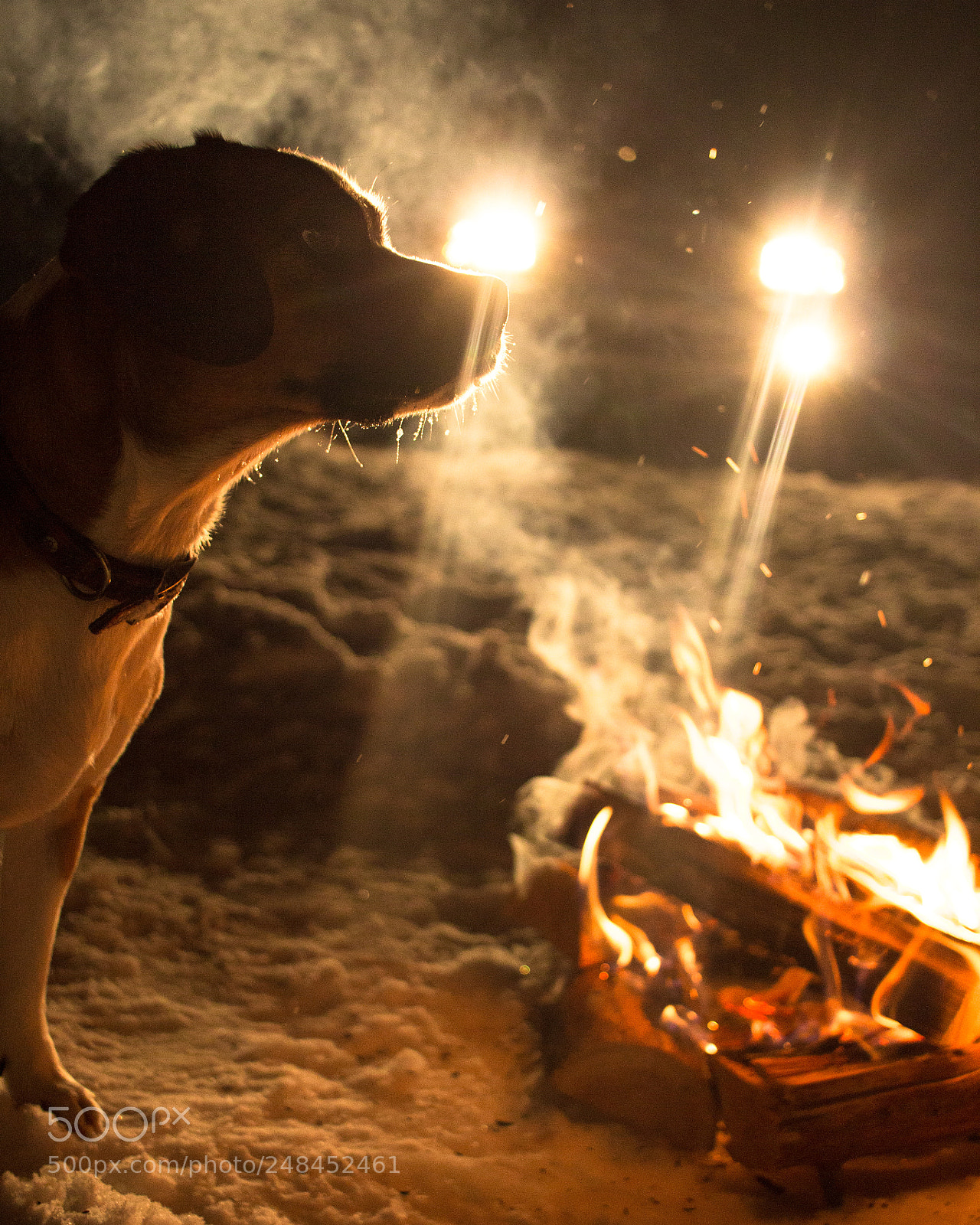 Canon EOS 700D (EOS Rebel T5i / EOS Kiss X7i) sample photo. Gus loves campfires photography