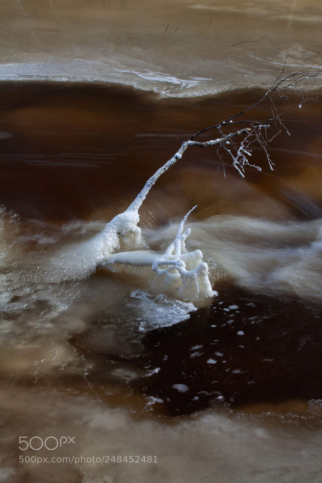 Canon EOS 50D sample photo. Frozen dreams ii photography