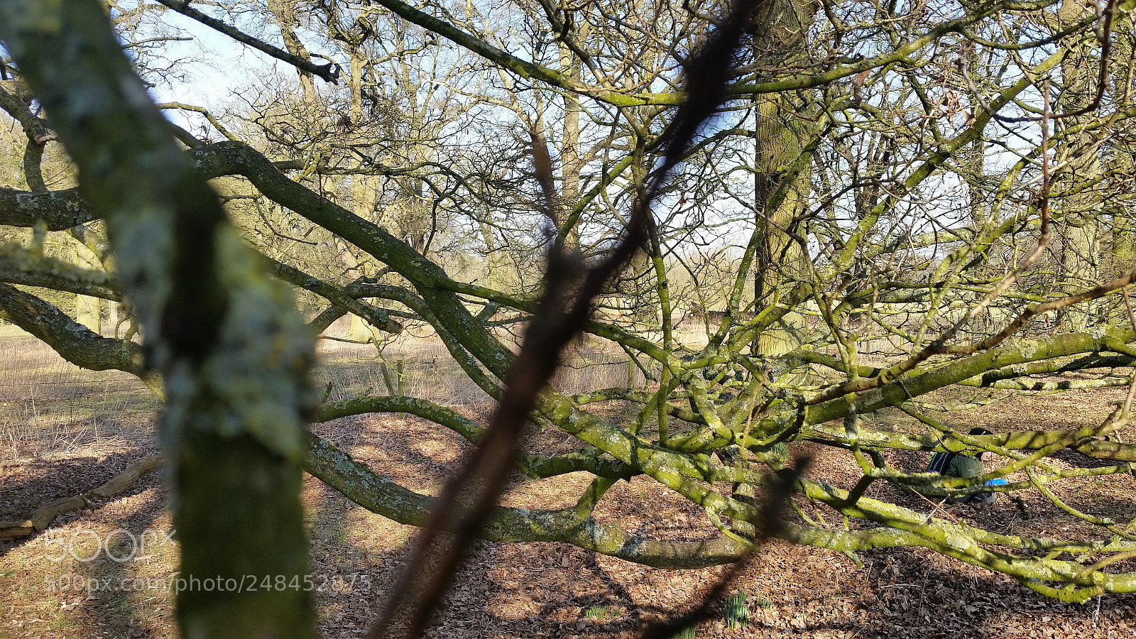 Samsung Galaxy S5 sample photo. Untitled photography