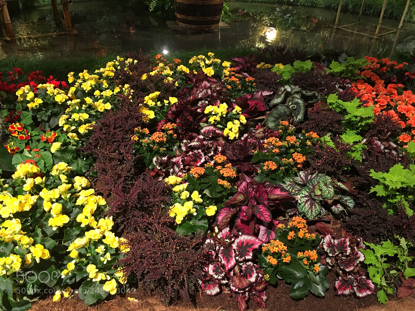 Apple iPhone 6s Plus sample photo. Philadelphia flower show 2018 photography