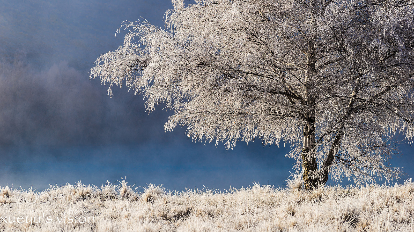 Sony a7 II sample photo. Dsc photography