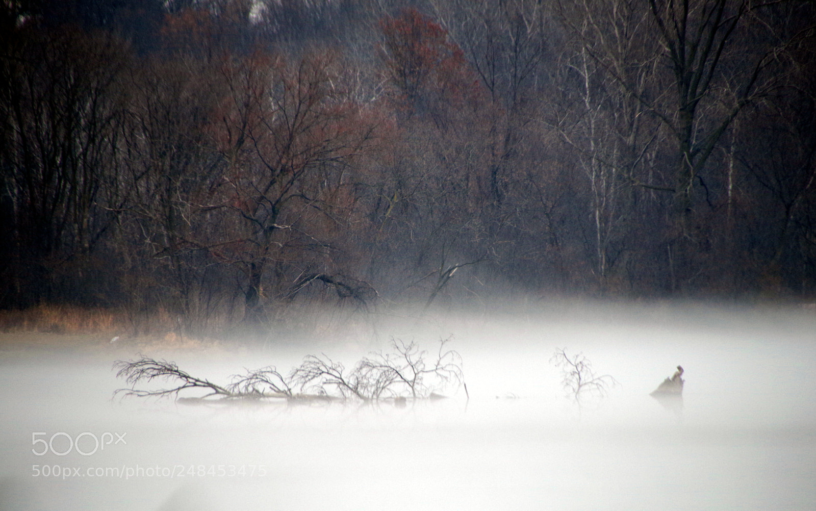 Pentax K-50 sample photo. Foggy river photography