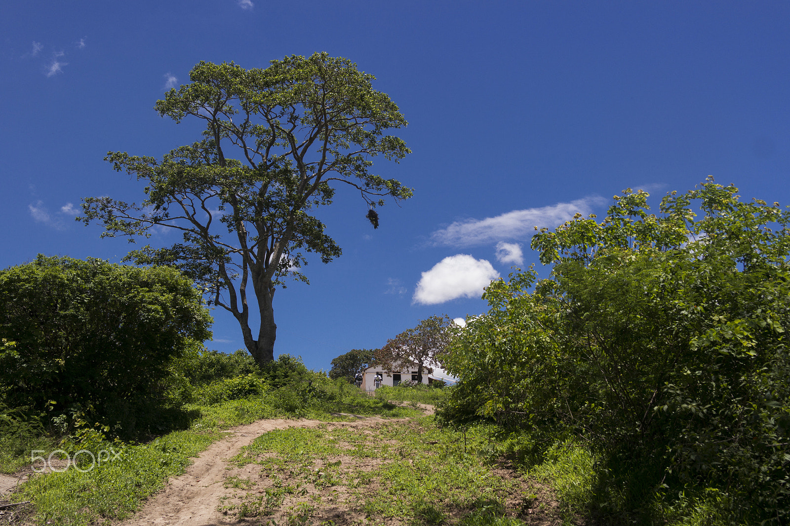 Samsung NX200 sample photo. Santo izidro, brazil, 2018 photography