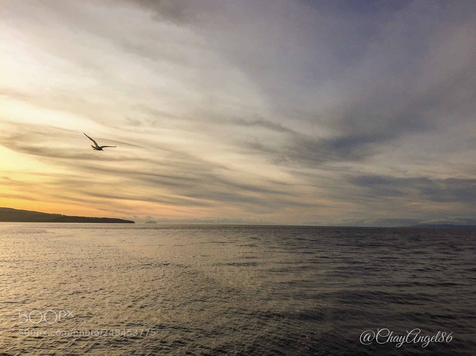 Apple iPhone 6 sample photo. Ayr beach photography