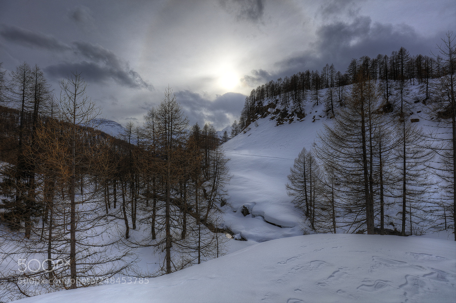 Canon EOS 5DS R sample photo. Winter lights photography