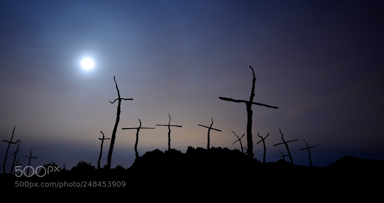 Nikon D5300 sample photo. Crosses forest photography