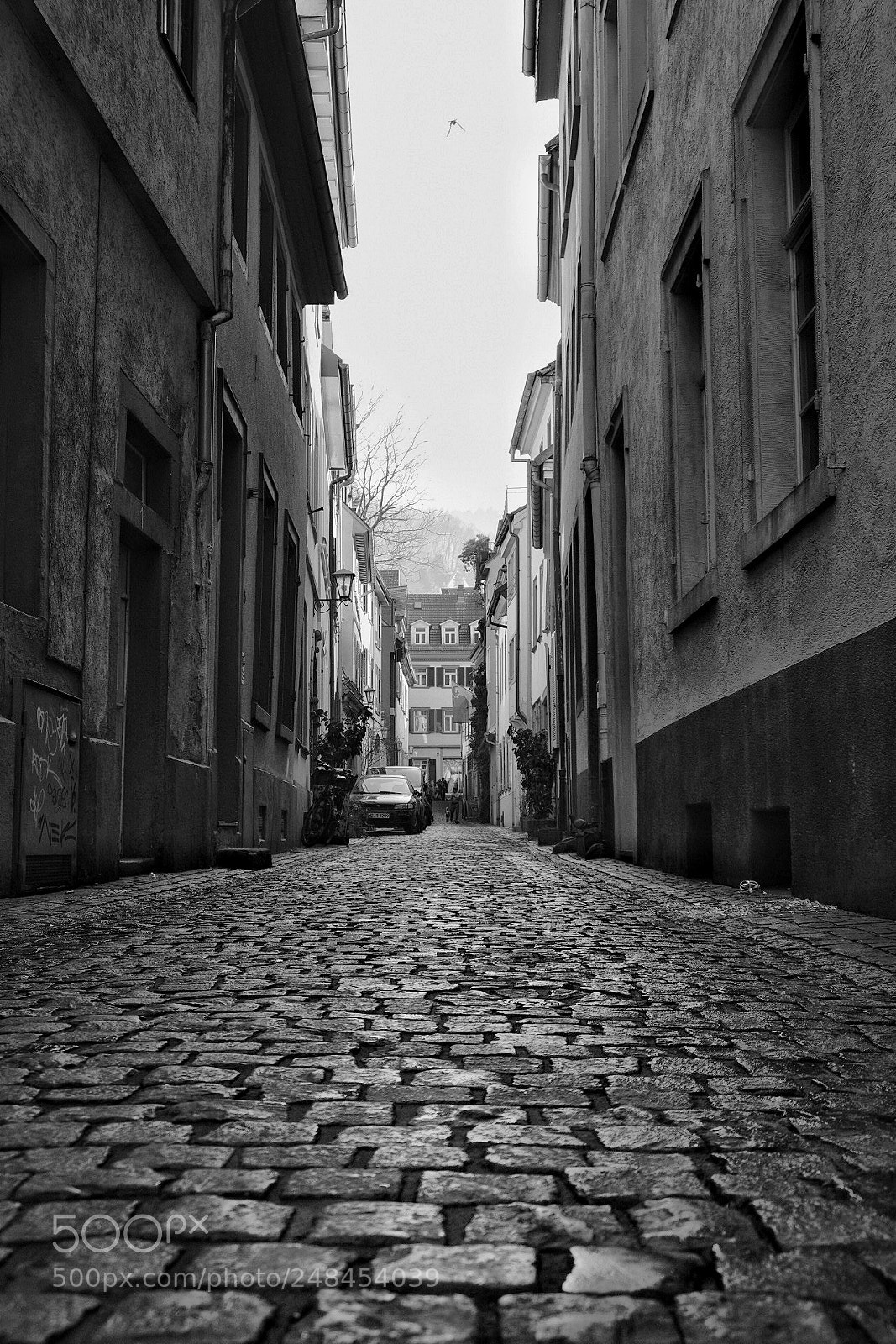 Fujifilm X-T2 sample photo. Heidelberg photography