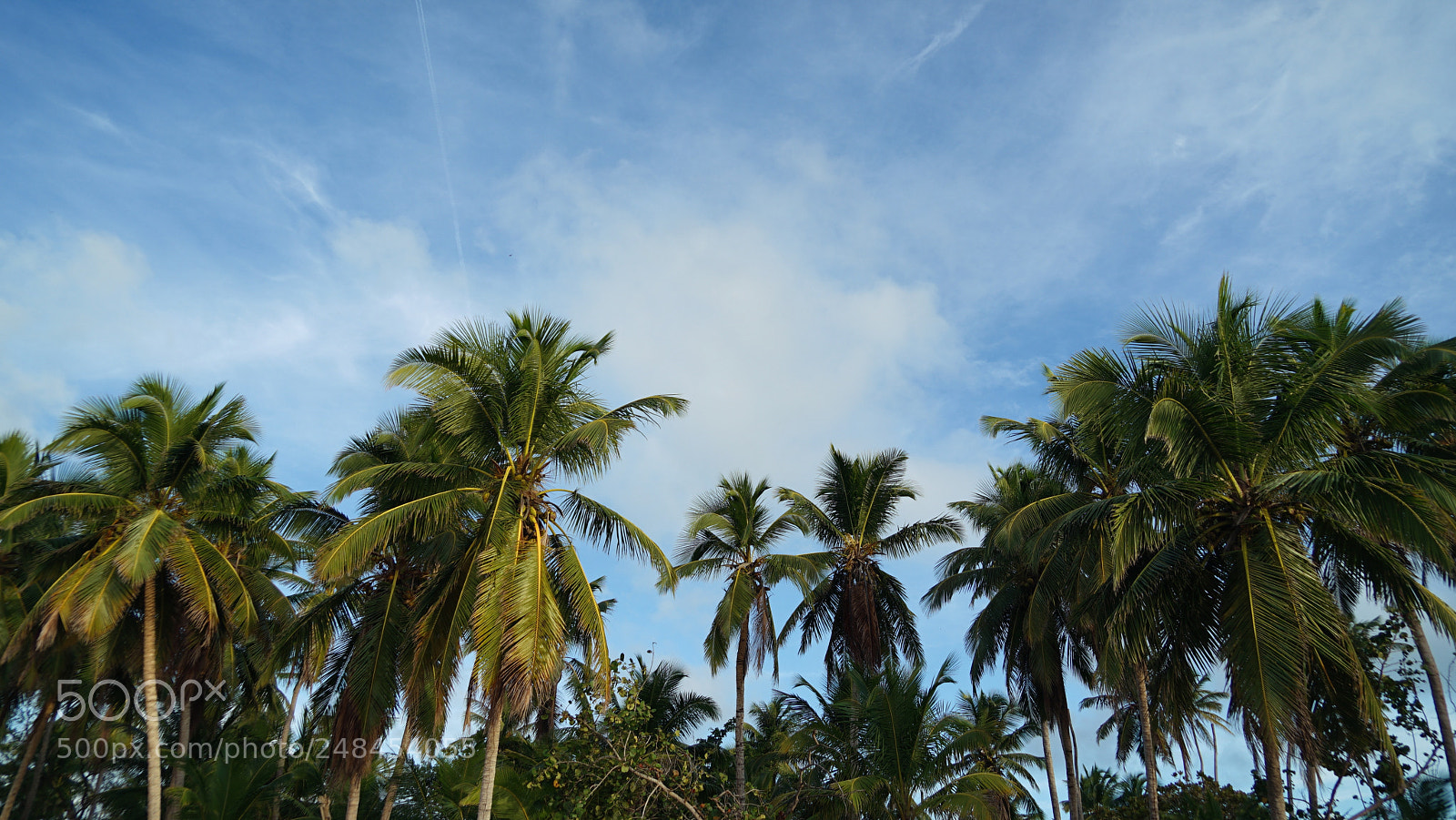 Sony a7 II sample photo. Playa esmeralda, dr. 10.01.18 photography