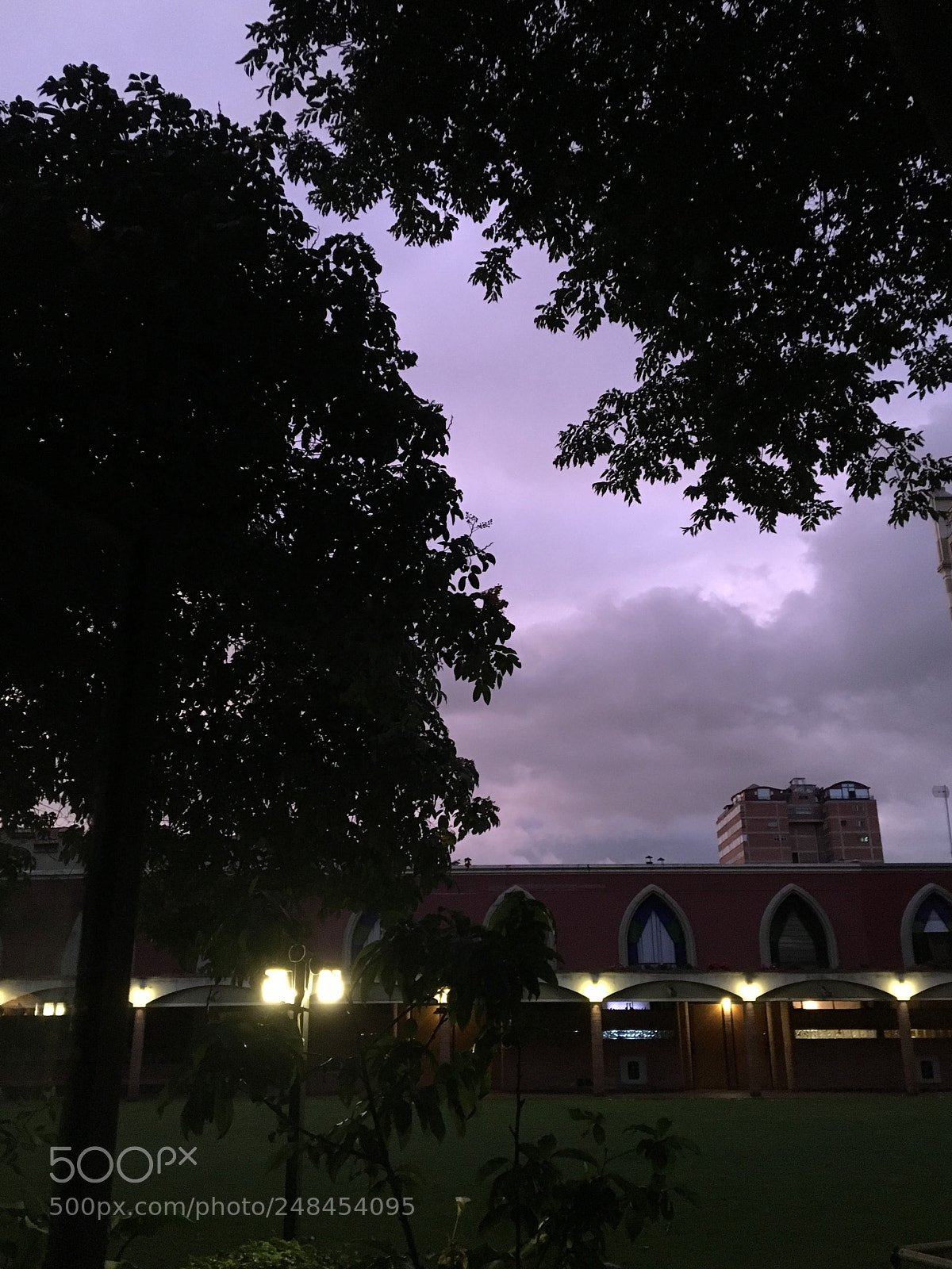 Apple iPhone 6s sample photo. Purple sky photography