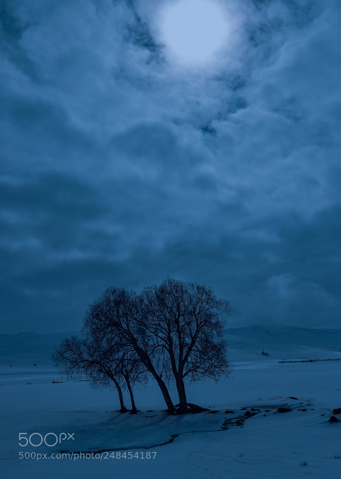 Nikon D5500 sample photo. Untitled photography