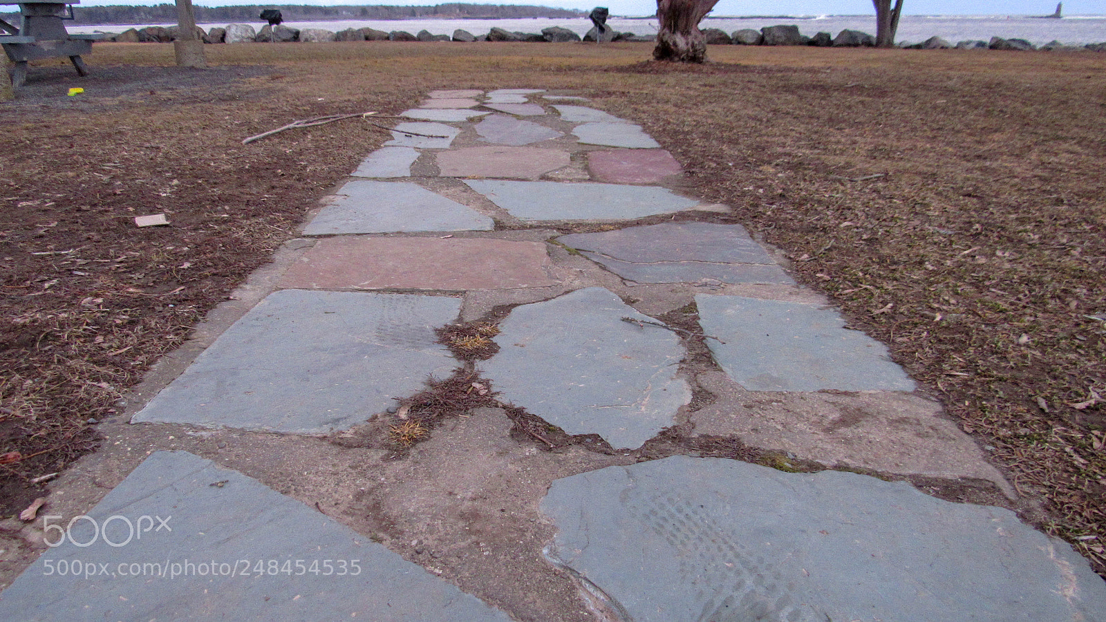 Canon PowerShot SX530 HS sample photo. The path to the photography
