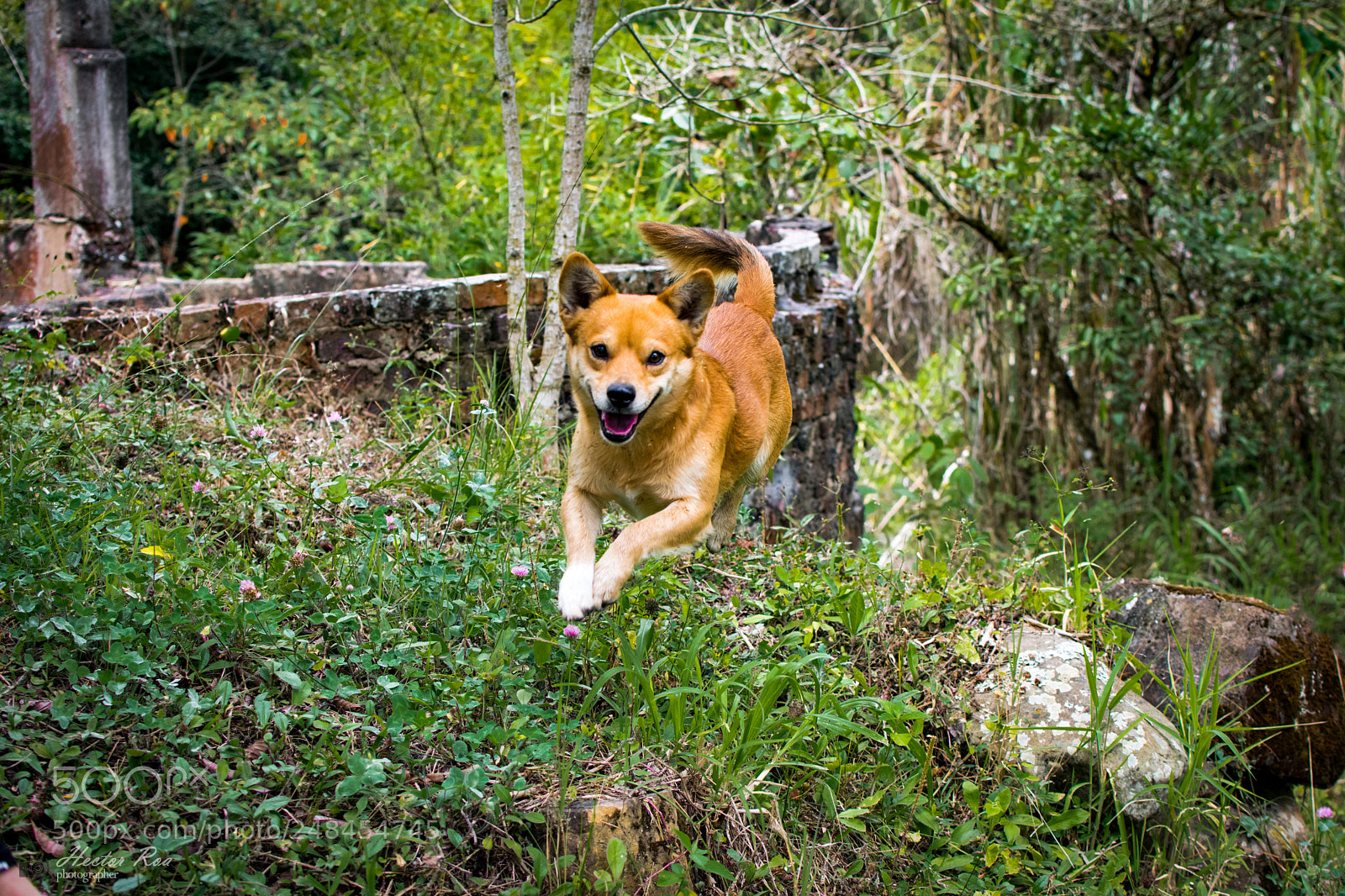 Nikon D5300 sample photo. Happiness photography