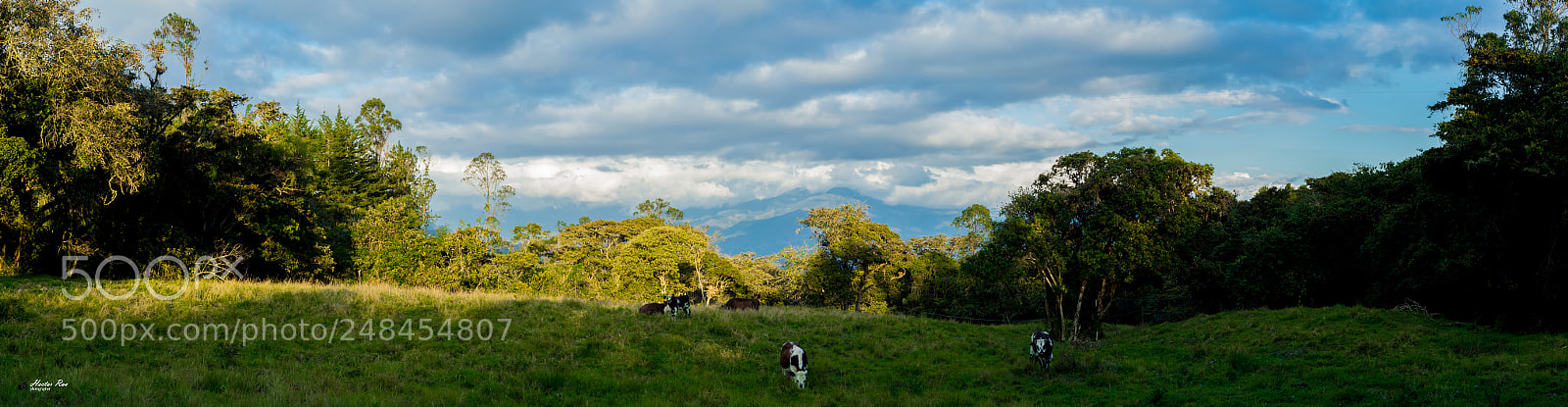 Nikon D5300 sample photo. Rural photography